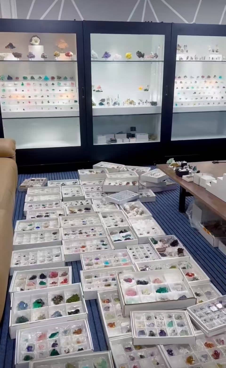 Mineral specimen collection in organized display boxes with colorful crystals and gemstones