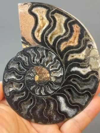 Testimonials 61 mineral review 114