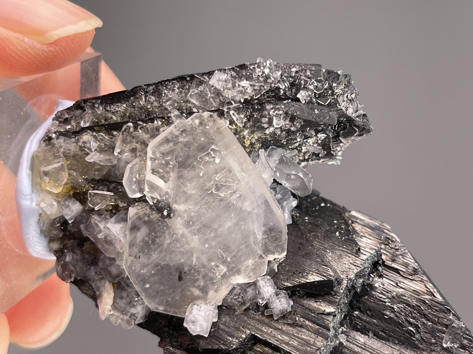 Side view of specimen showing cassiterite crystal arrangement on matrix