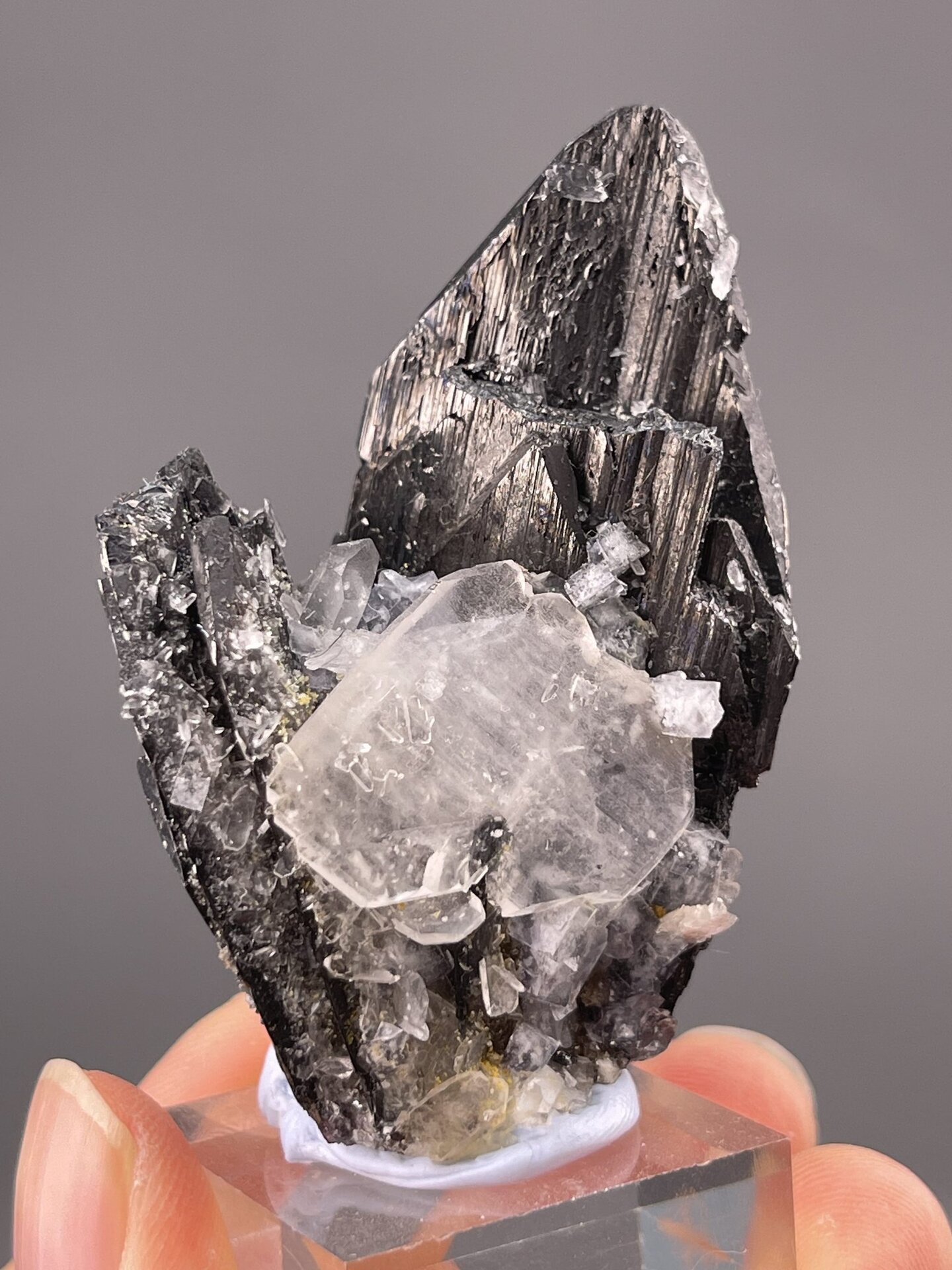 SnO₂ tetragonal cassiterite on BaSO₄ barite, Yaogangxian Mine