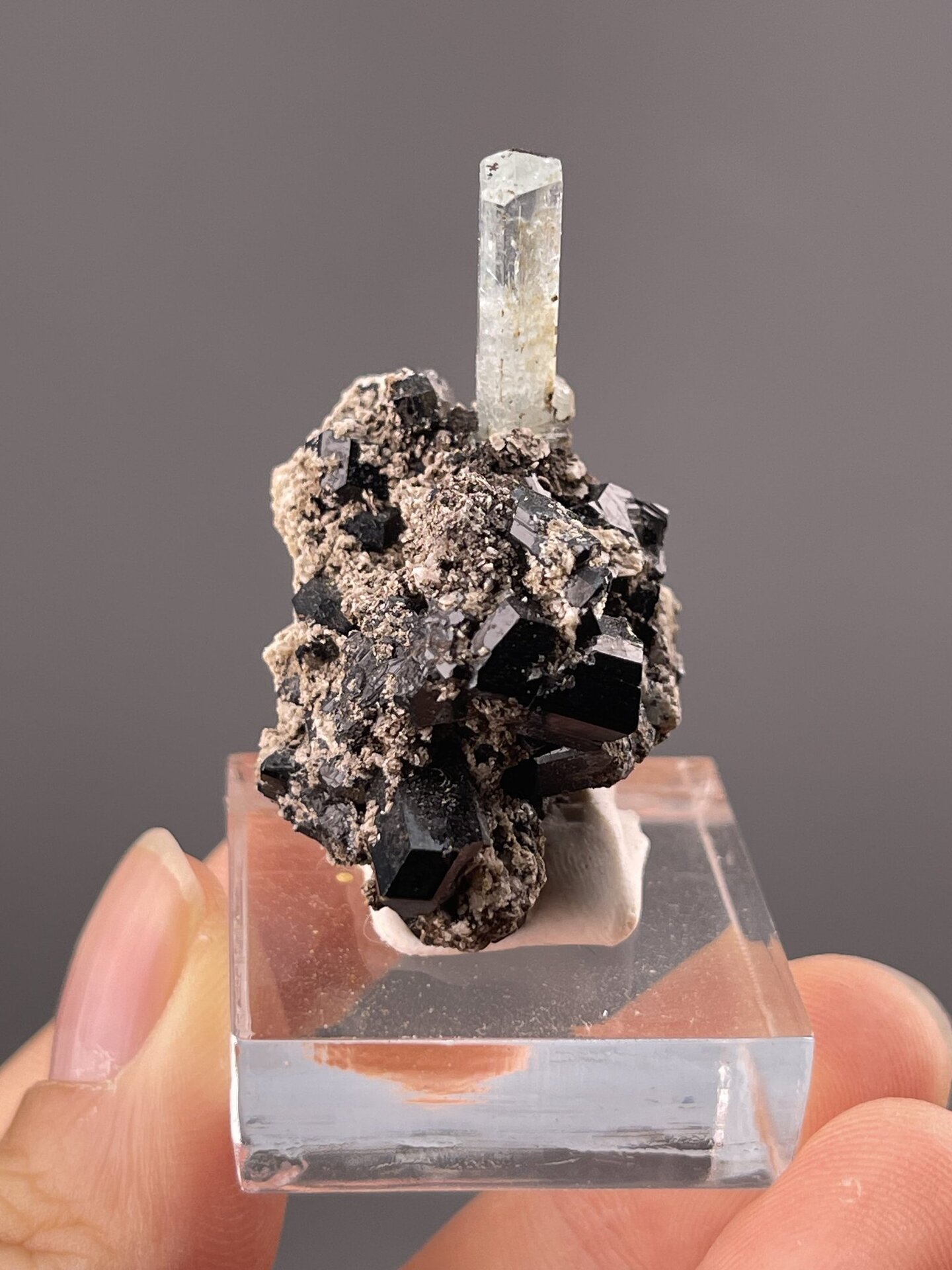 Columnar aquamarine on tourmaline matrix showing colour contrast, 0.7 g