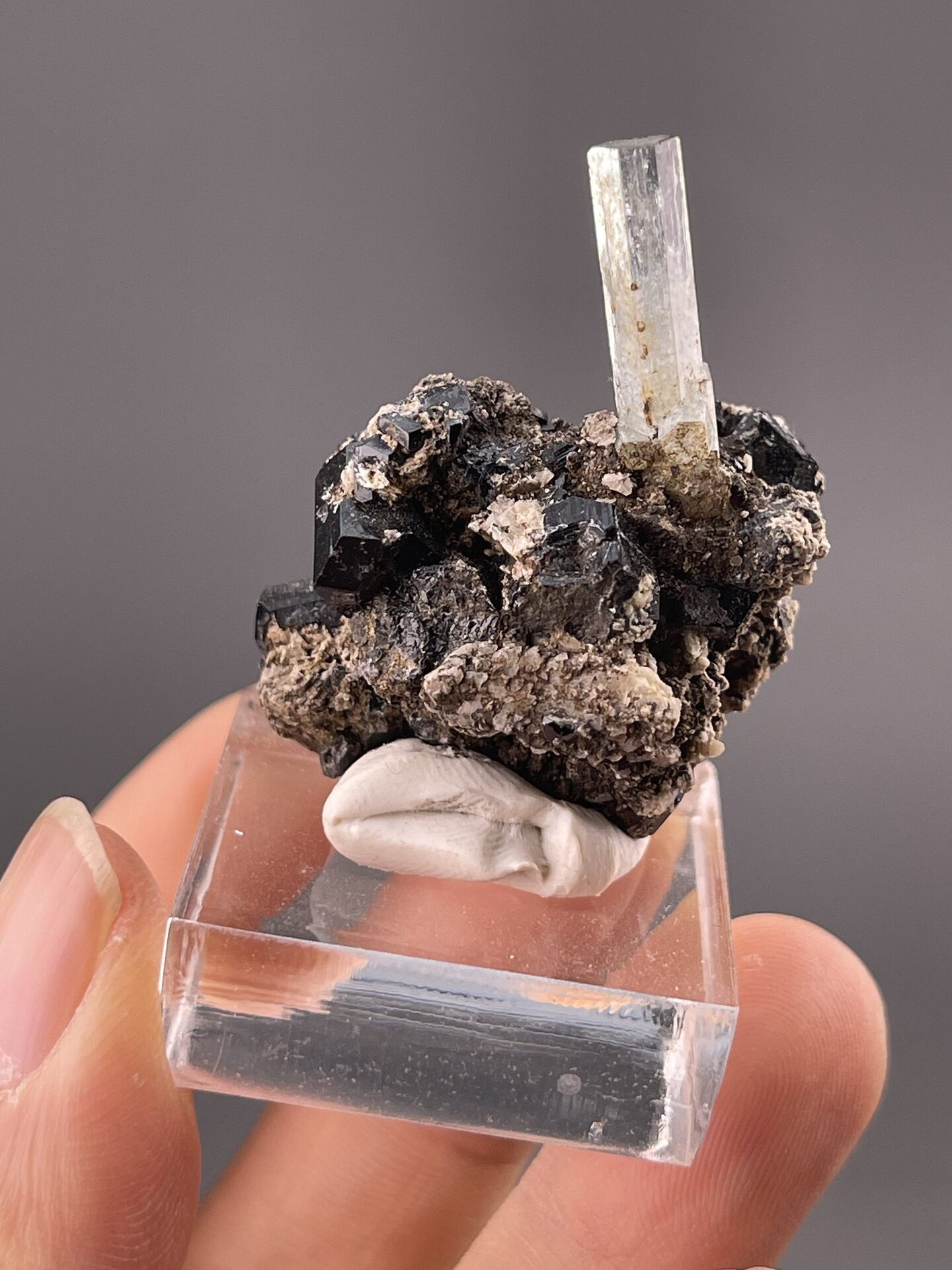 Top view of aquamarine with tourmaline showing mineral association