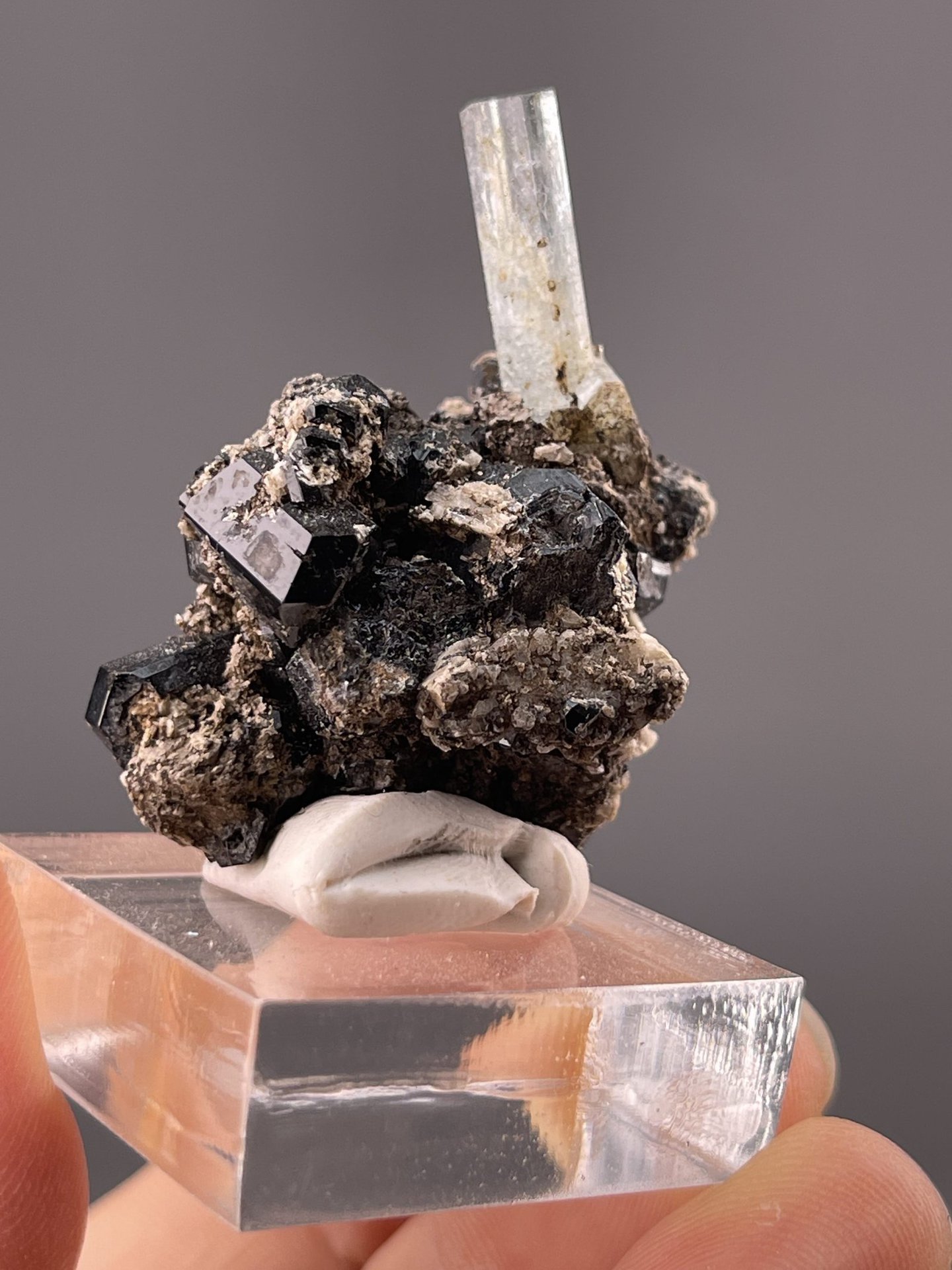 Angled view highlighting blue aquamarine against dark tourmaline matrix