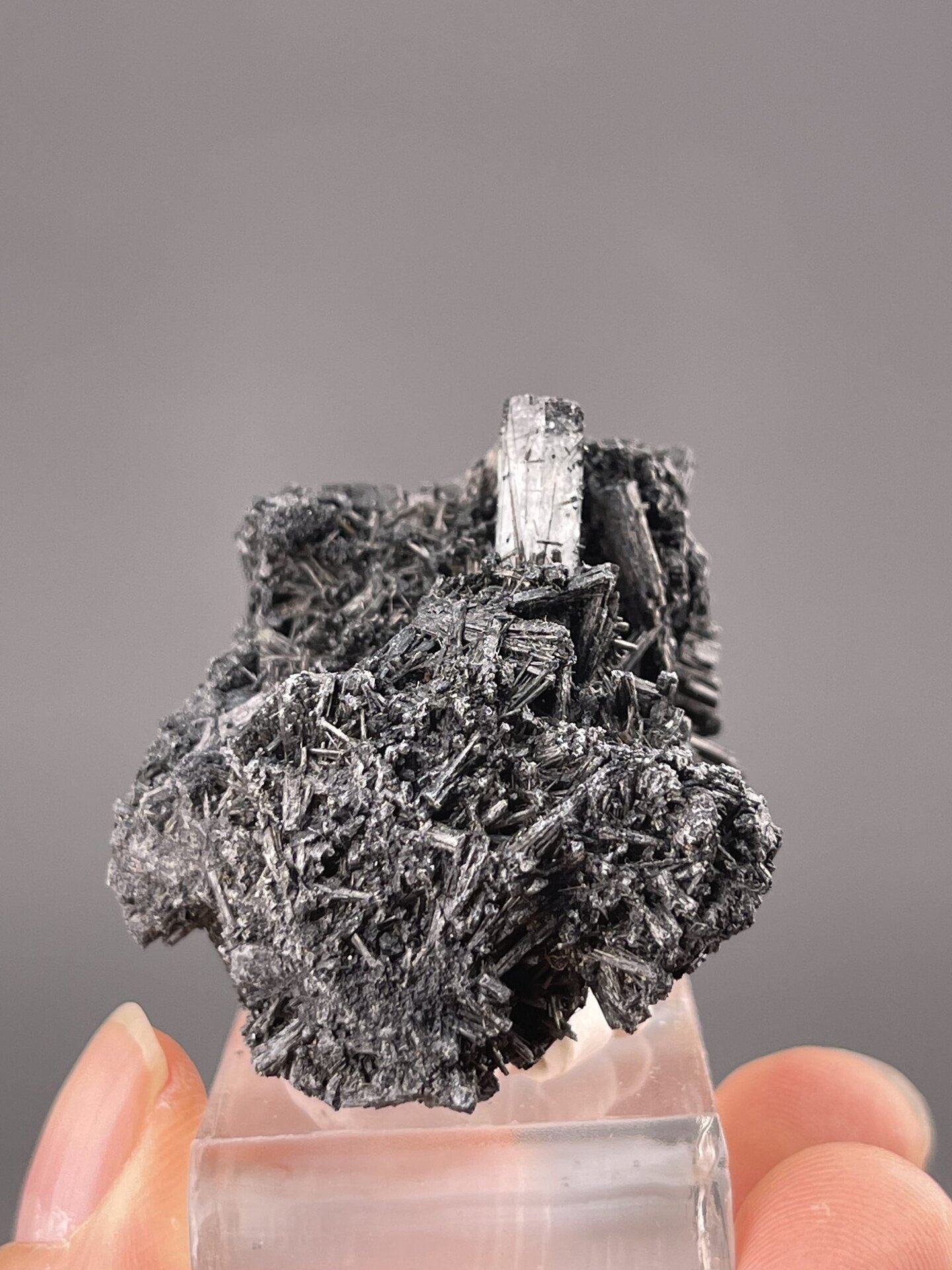 Front view of aquamarine crystal, 18×15×13 mm, Erongo Namibia
