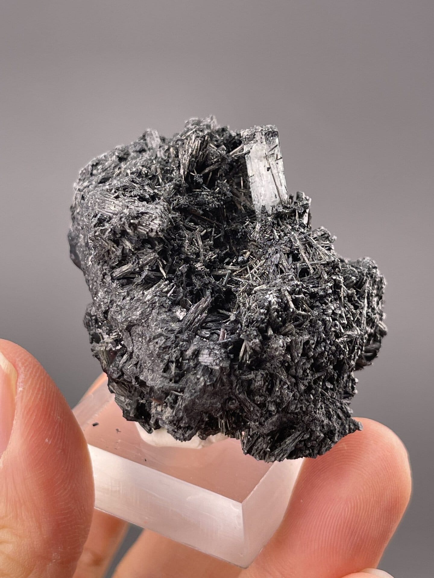 Side view of prismatic aquamarine showing full crystal length