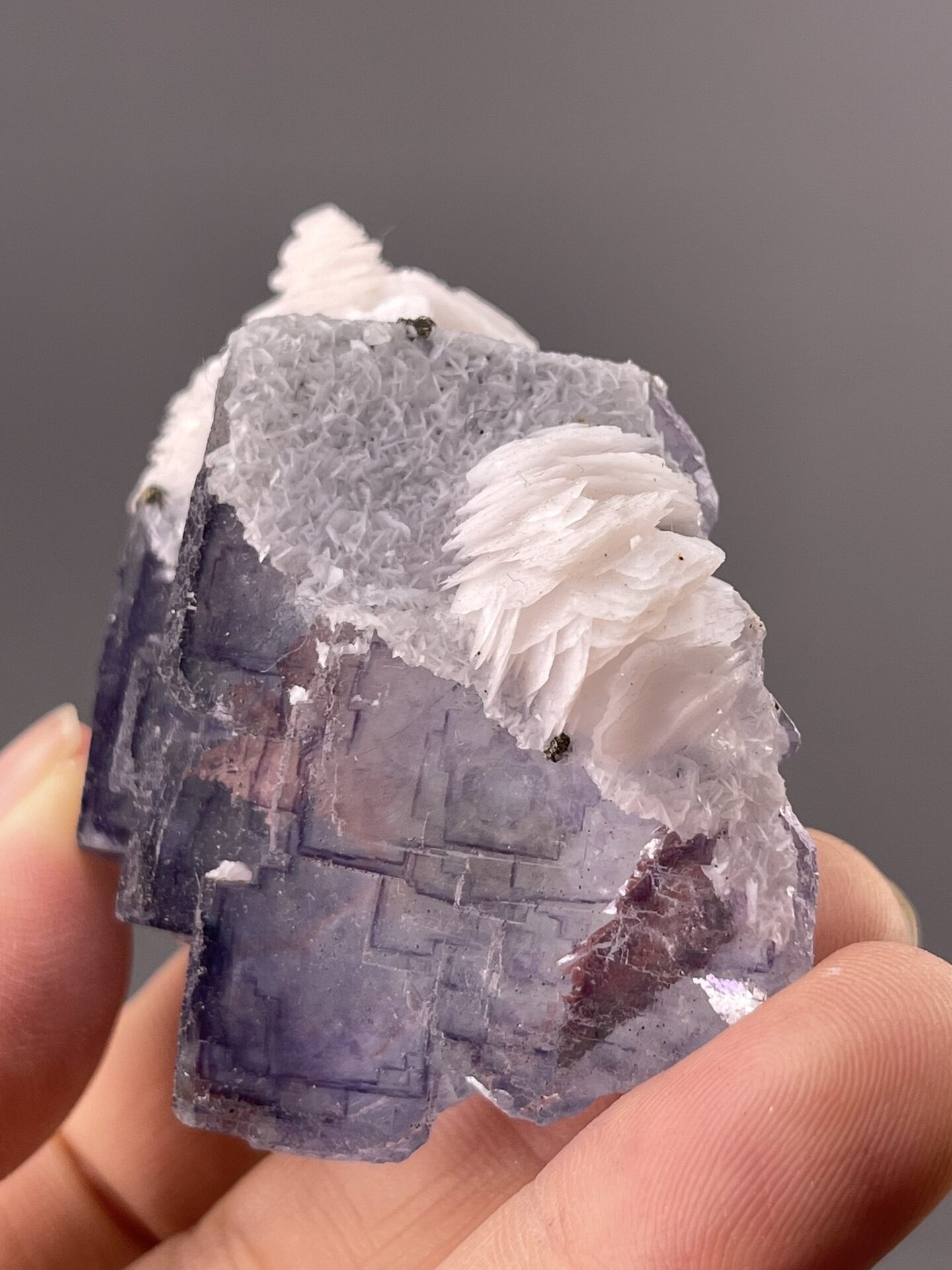 Fluorite Cubic Crystals from Chenzhou, China – full specimen against white background