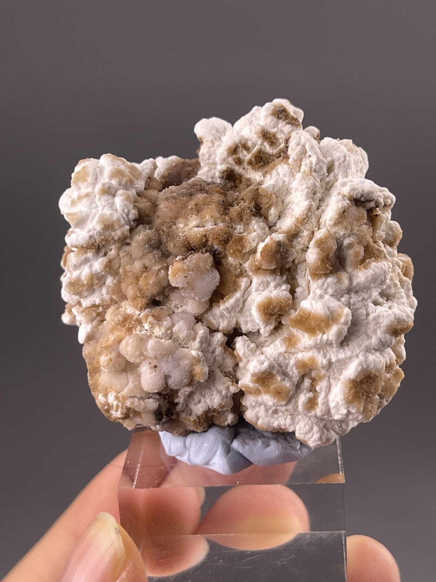 Gypsum Specimen from Guizhou, China – angled view showing matrix