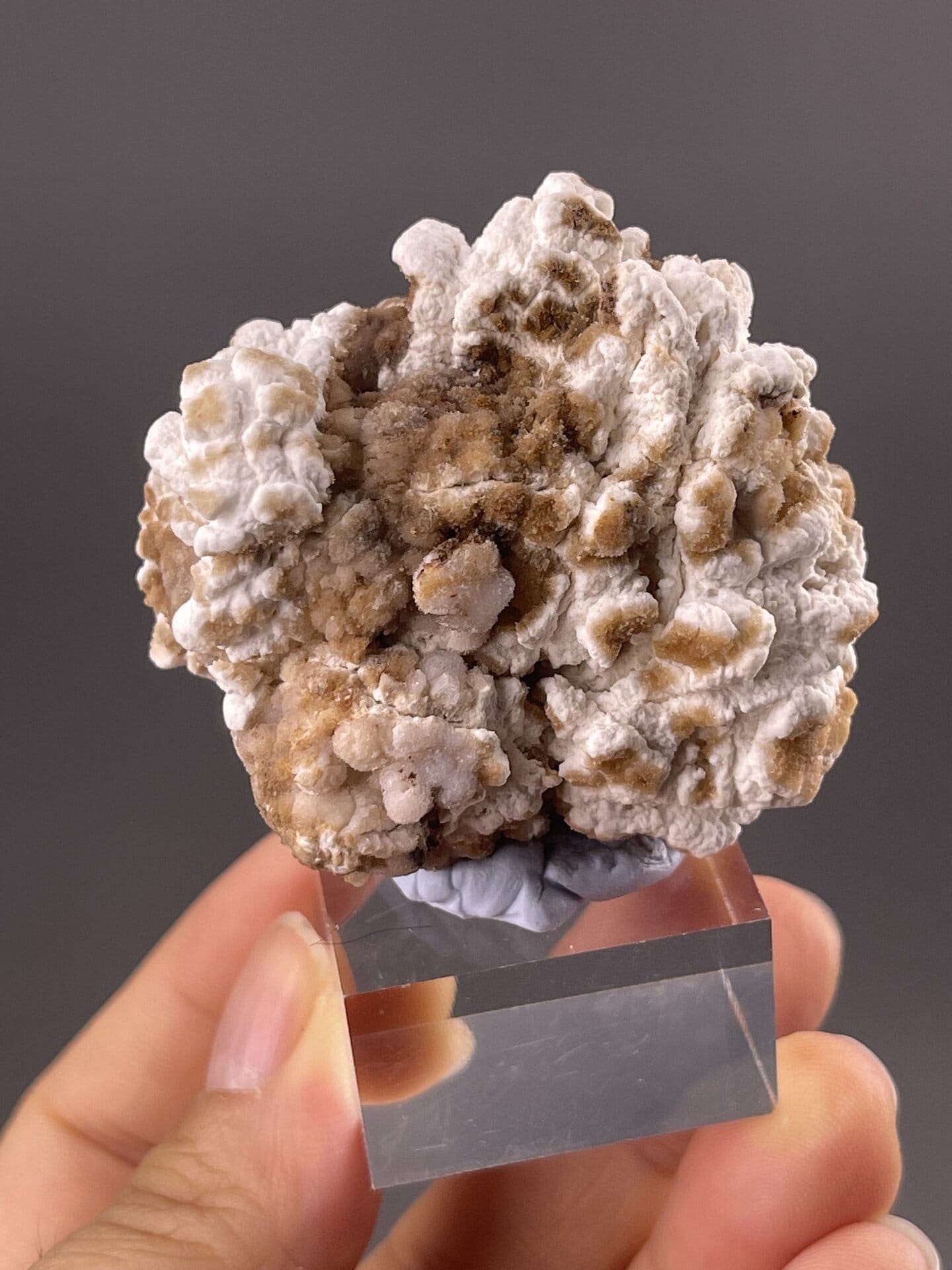 Gypsum Specimen from Guizhou, China – crystal termination detail