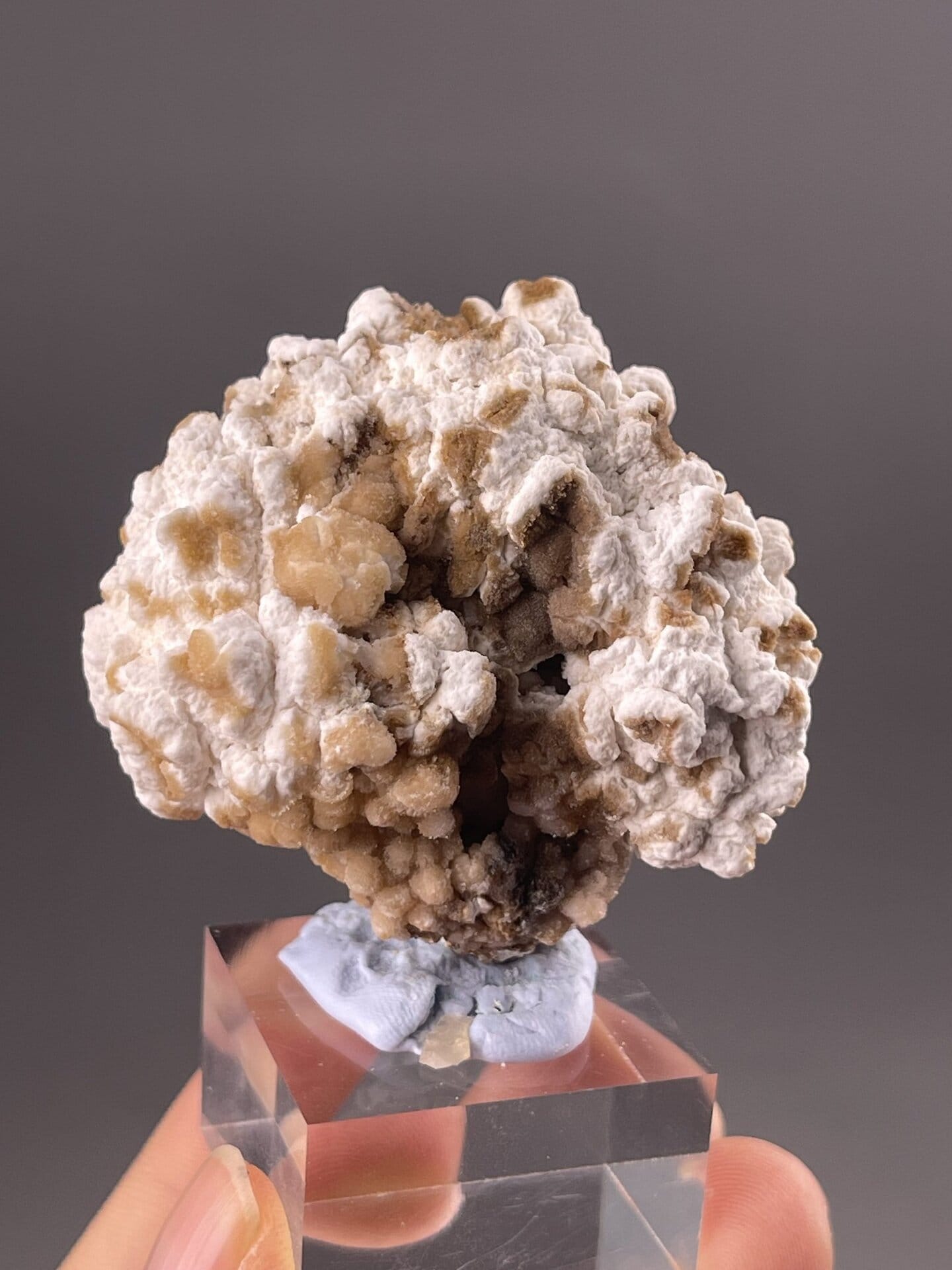 Gypsum Specimen from Guizhou, China – full specimen against white background