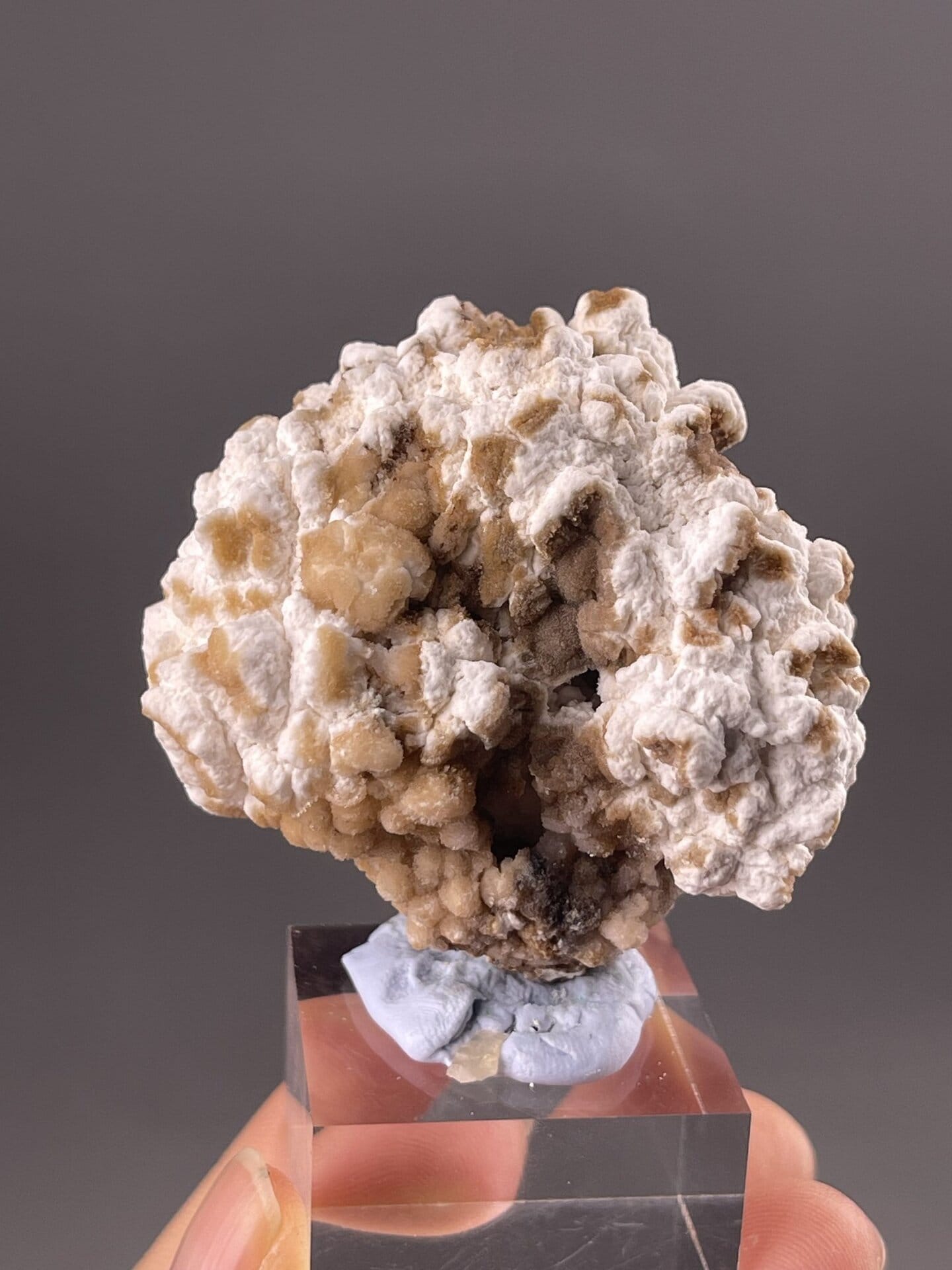 Gypsum Specimen from Guizhou, China – scale reference view