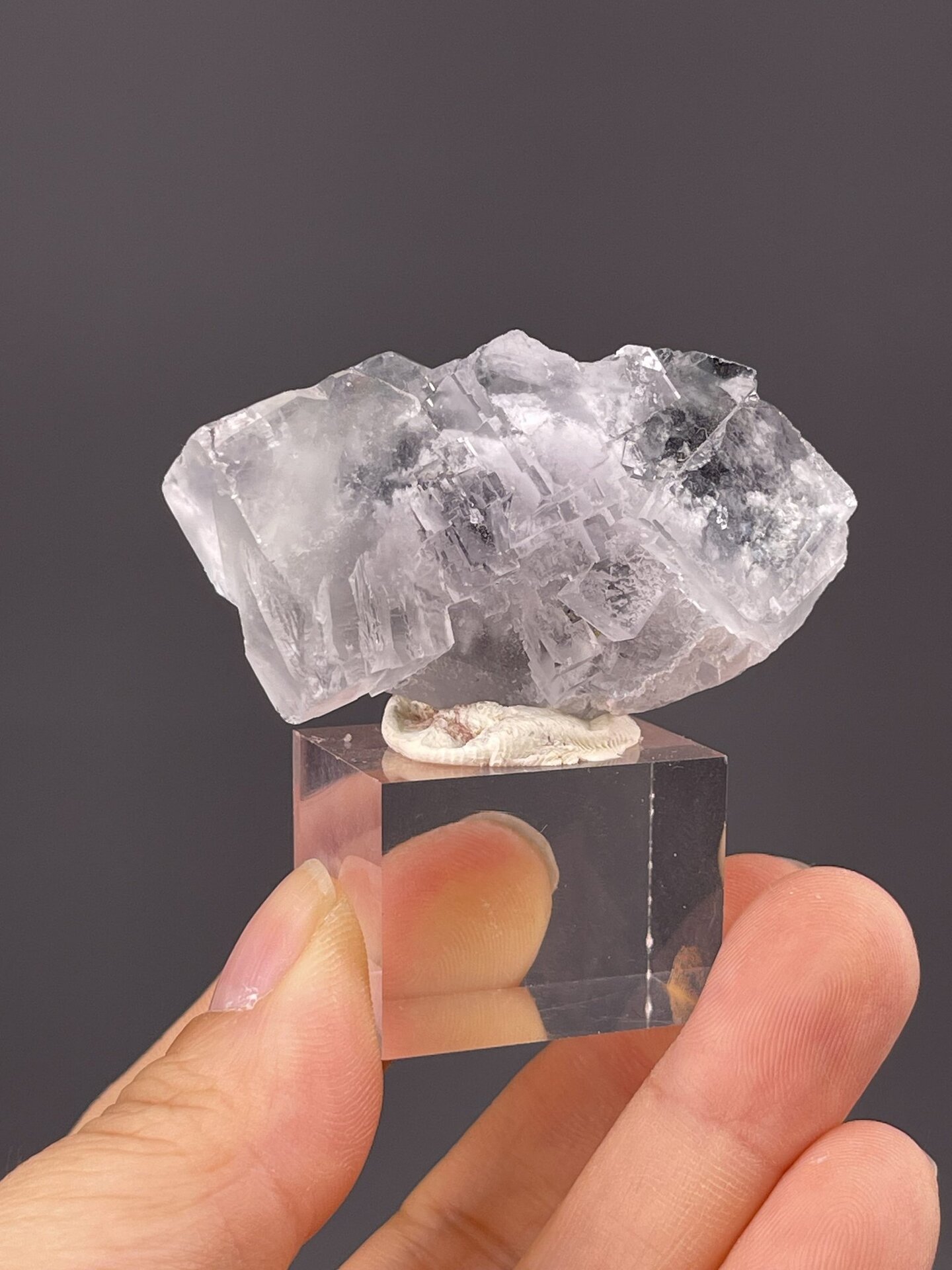 Front view of twinned fluorite, 21×9×9 mm, Xianghualing Mine