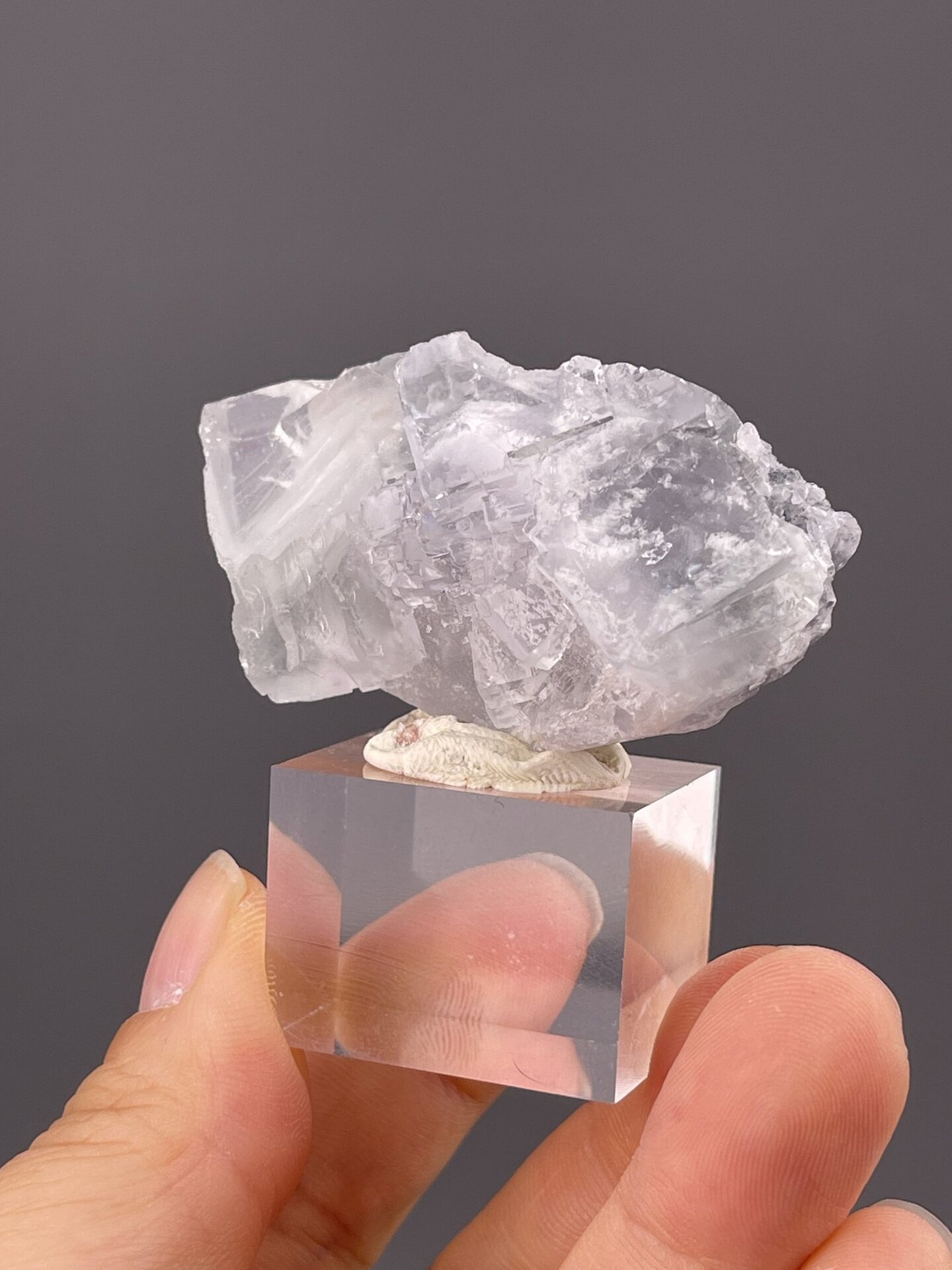 Side view of colorless fluorite crystal showing twin boundary