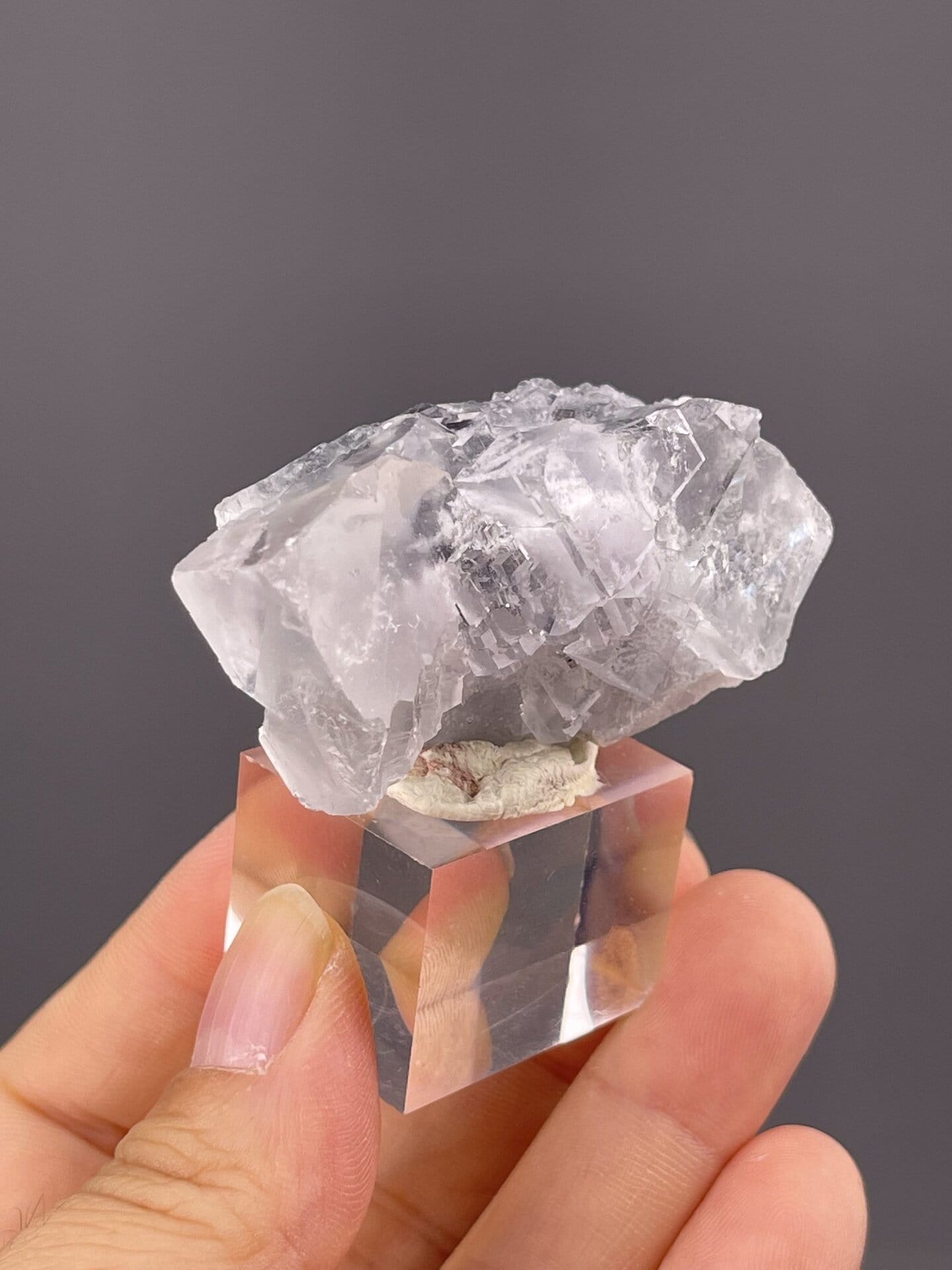 Top view of twinned fluorite showing penetration twin contact