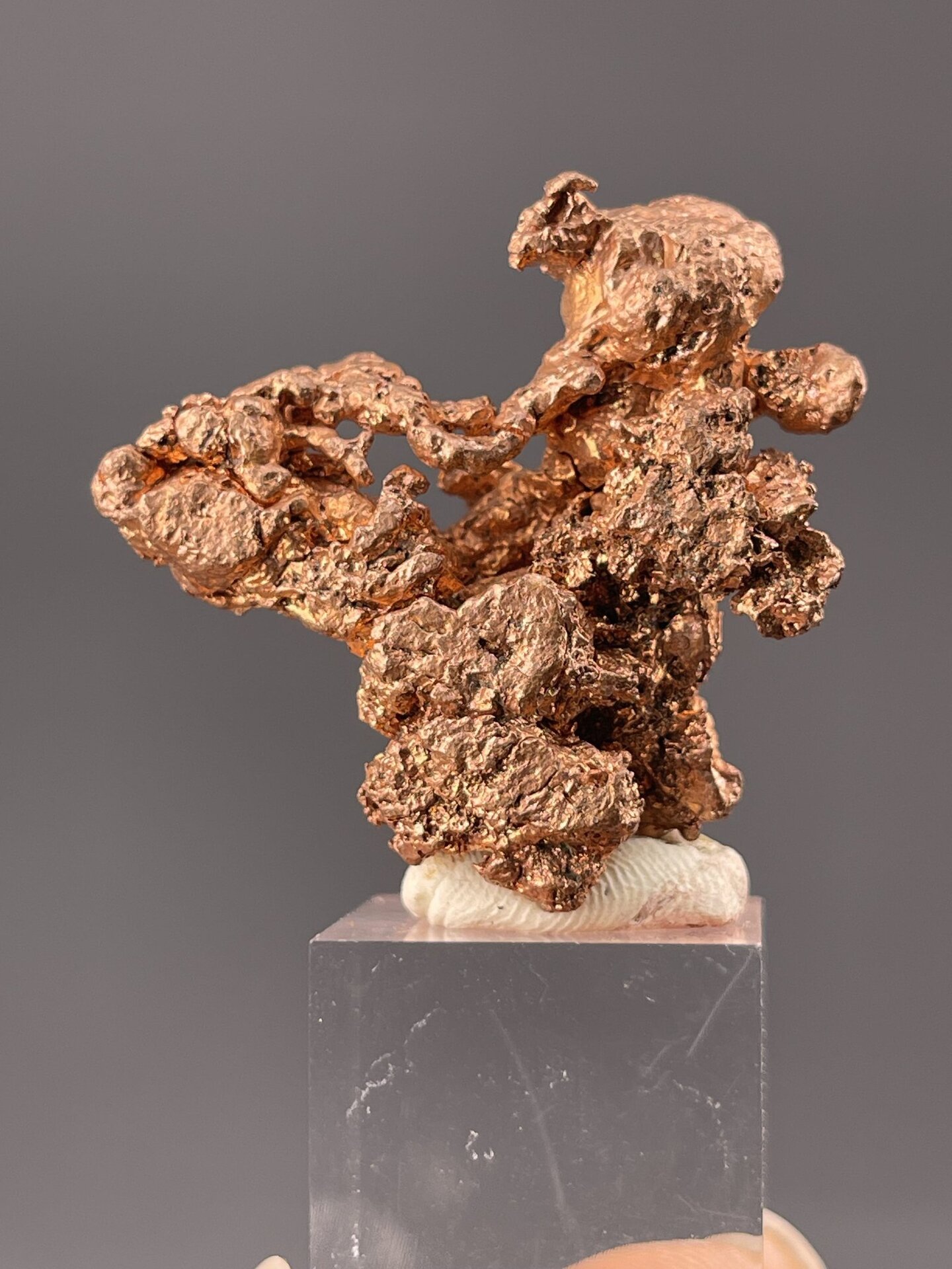 Top view of copper specimen showing cluster arrangement