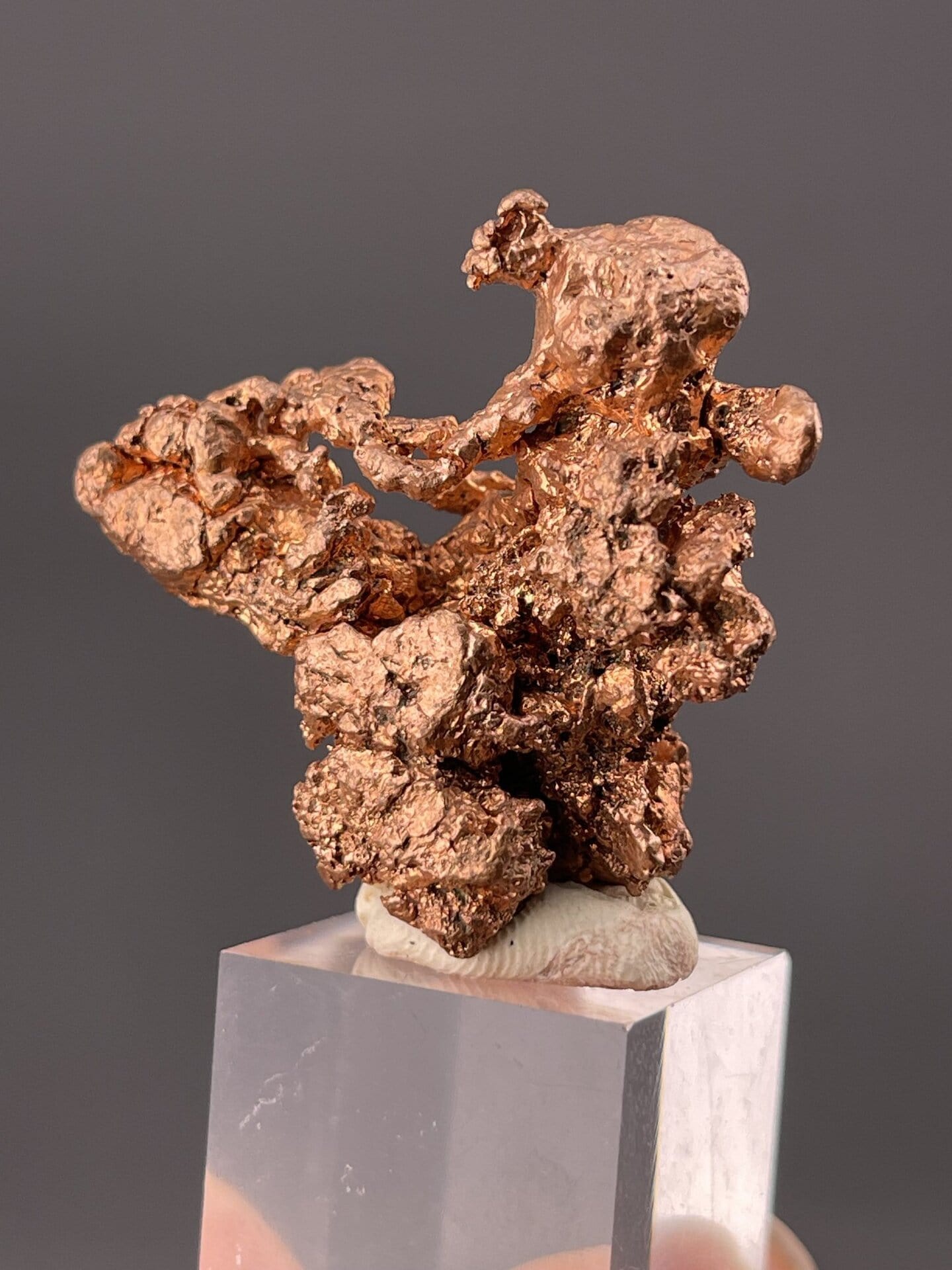 Detail of copper surface showing warm metallic luster