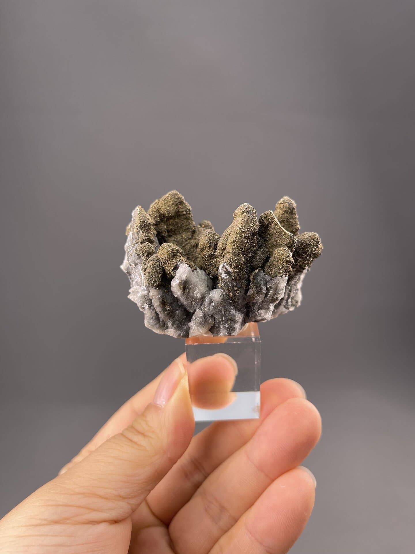 Front view of pyrite druzy, 24×14×14 mm, Daye Mine Hubei