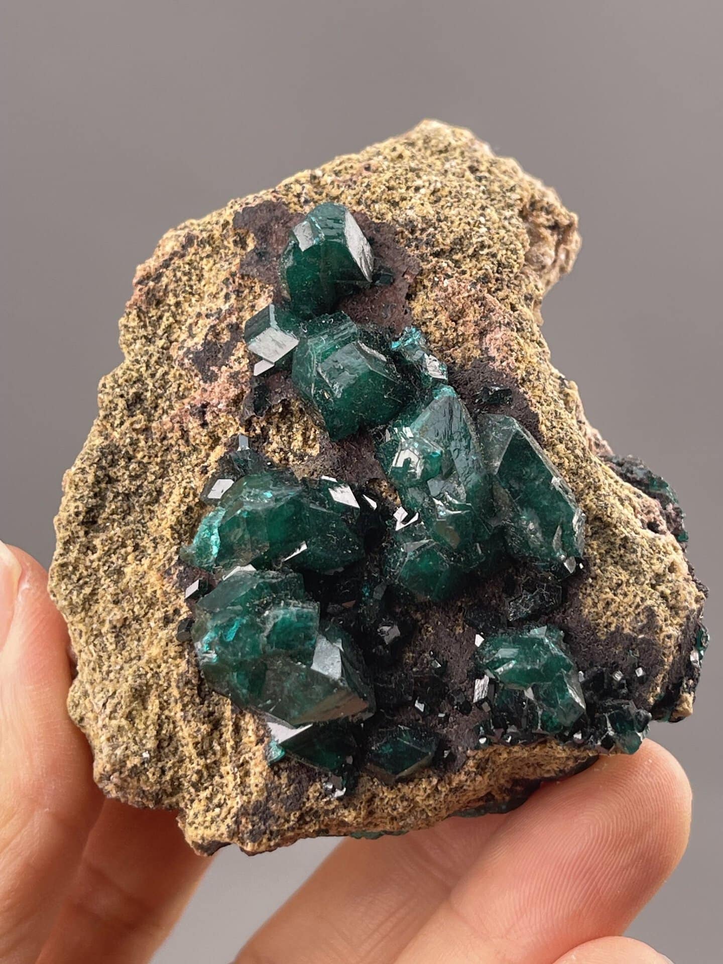 Close-up of dioptase cubic crystals showing intense green colour, Tsumeb