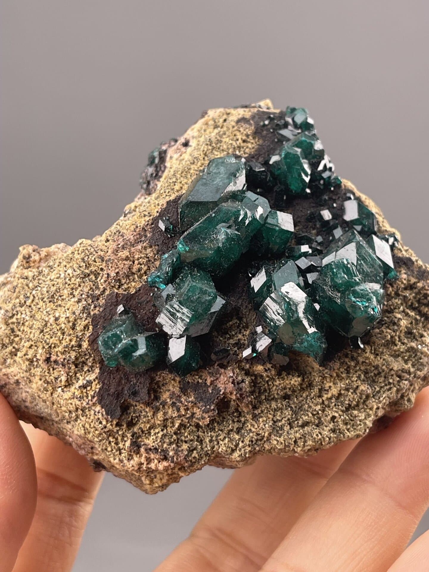 Dioptase CuSiO₃·H₂O trigonal crystals on brown matrix, Kaokoveld Namibia