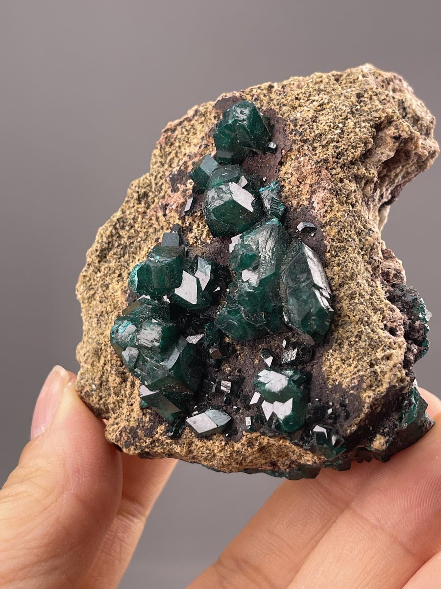 Green dioptase crystals with vitreous luster, Tsumeb Mine Namibia