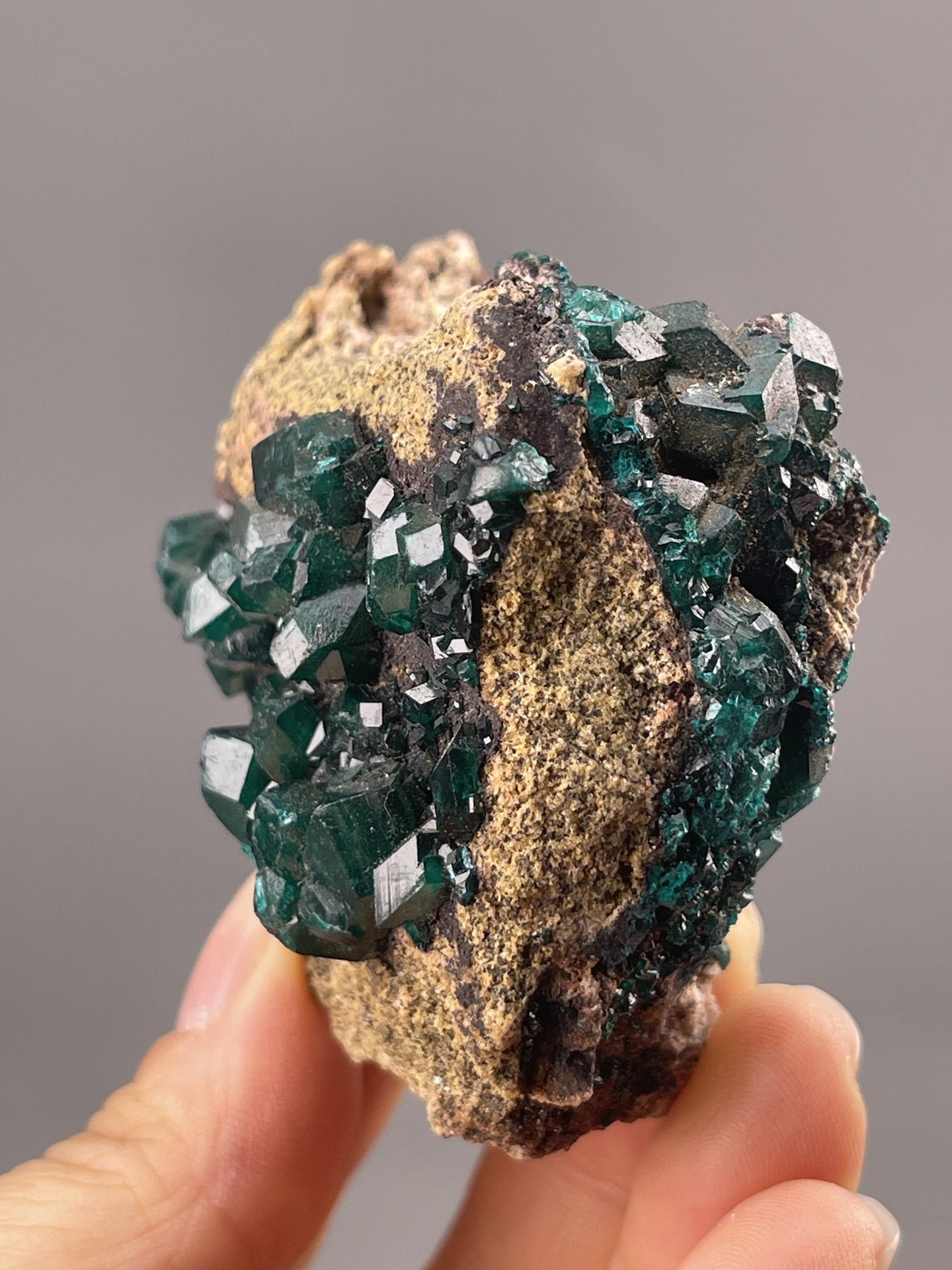 Dioptase specimen angled view showing translucency and matrix contact