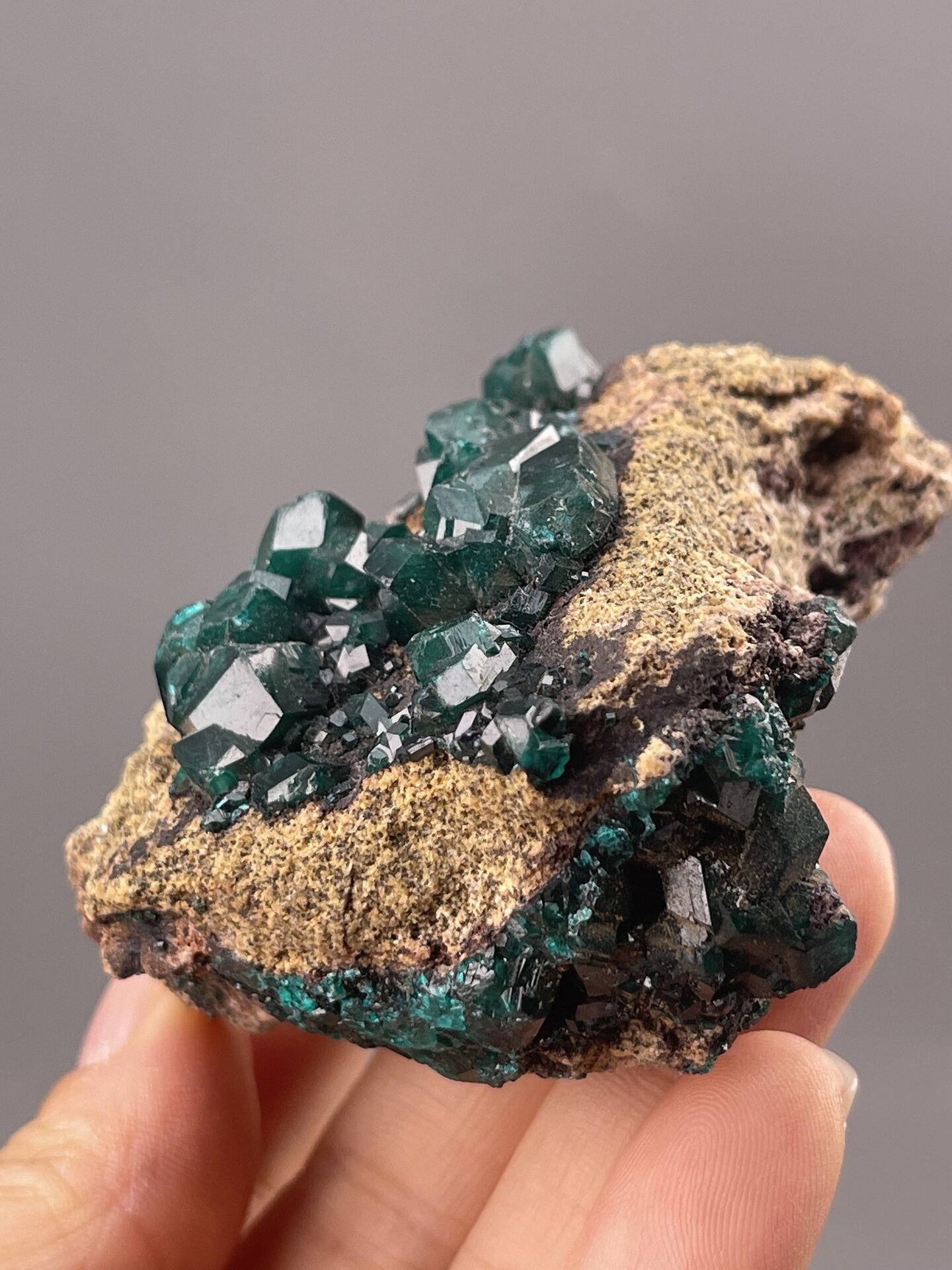 Rare Tsumeb dioptase cluster showing multiple intergrown crystals, SKU 1051