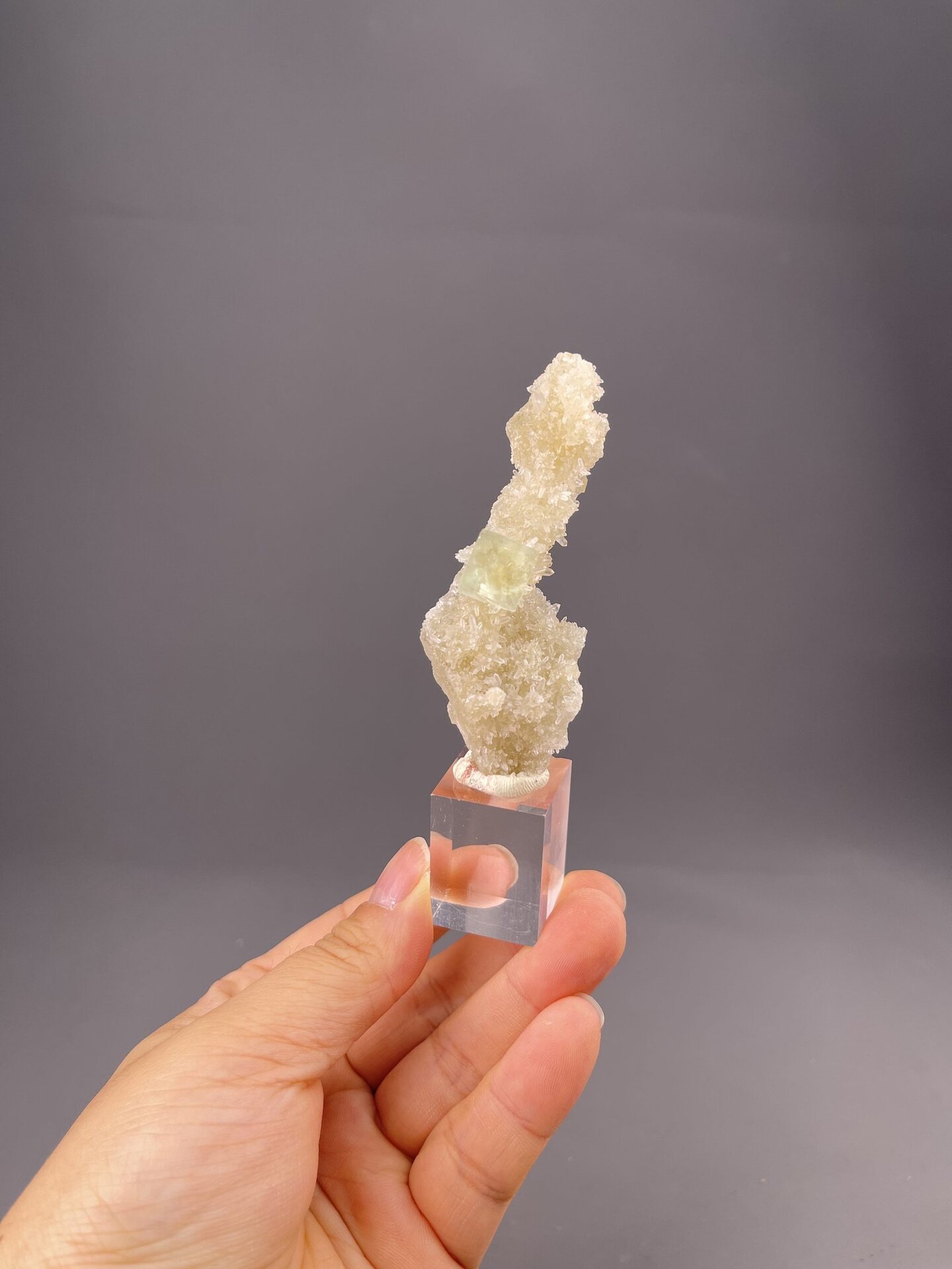 Front view of fluorite on quartz, 30×10×9 mm, Xianghualing