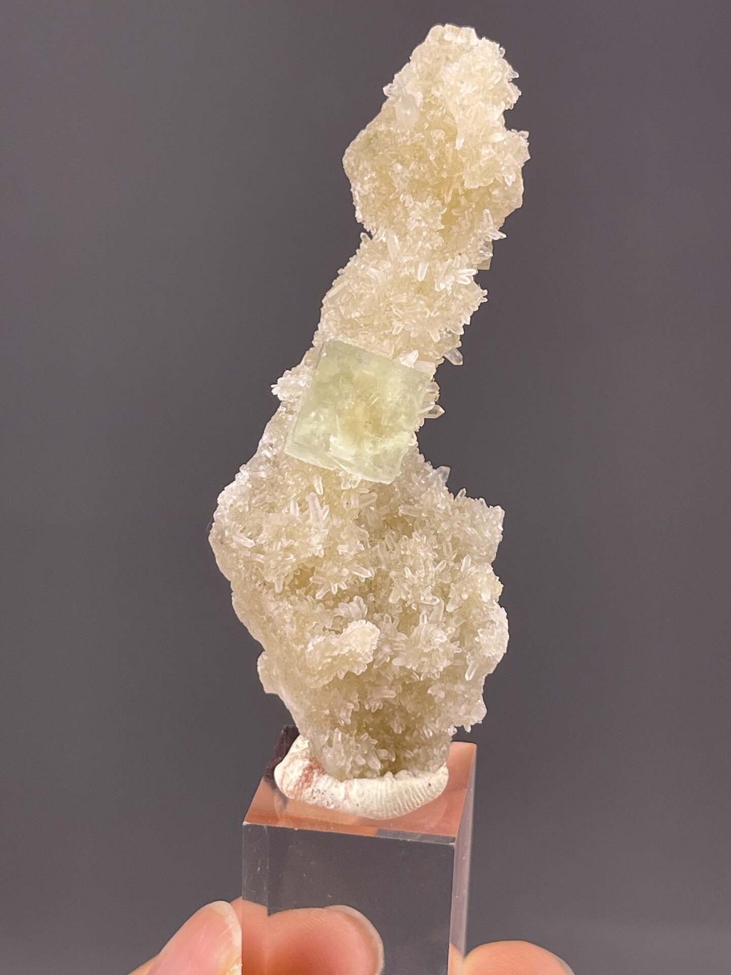 Close-up of green fluorite showing colour and vitreous surface