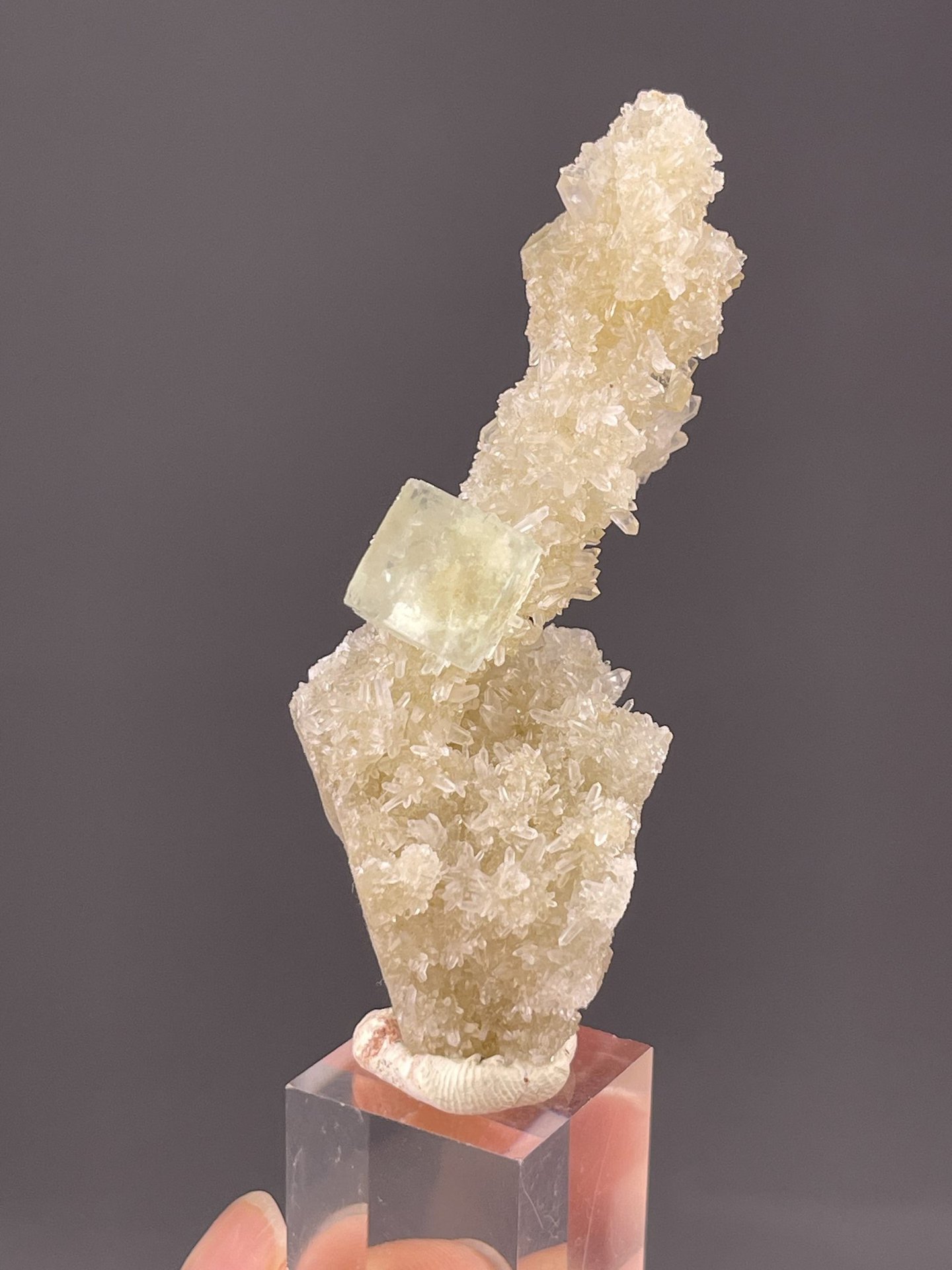 Side view of fluorite on quartz showing mineral association