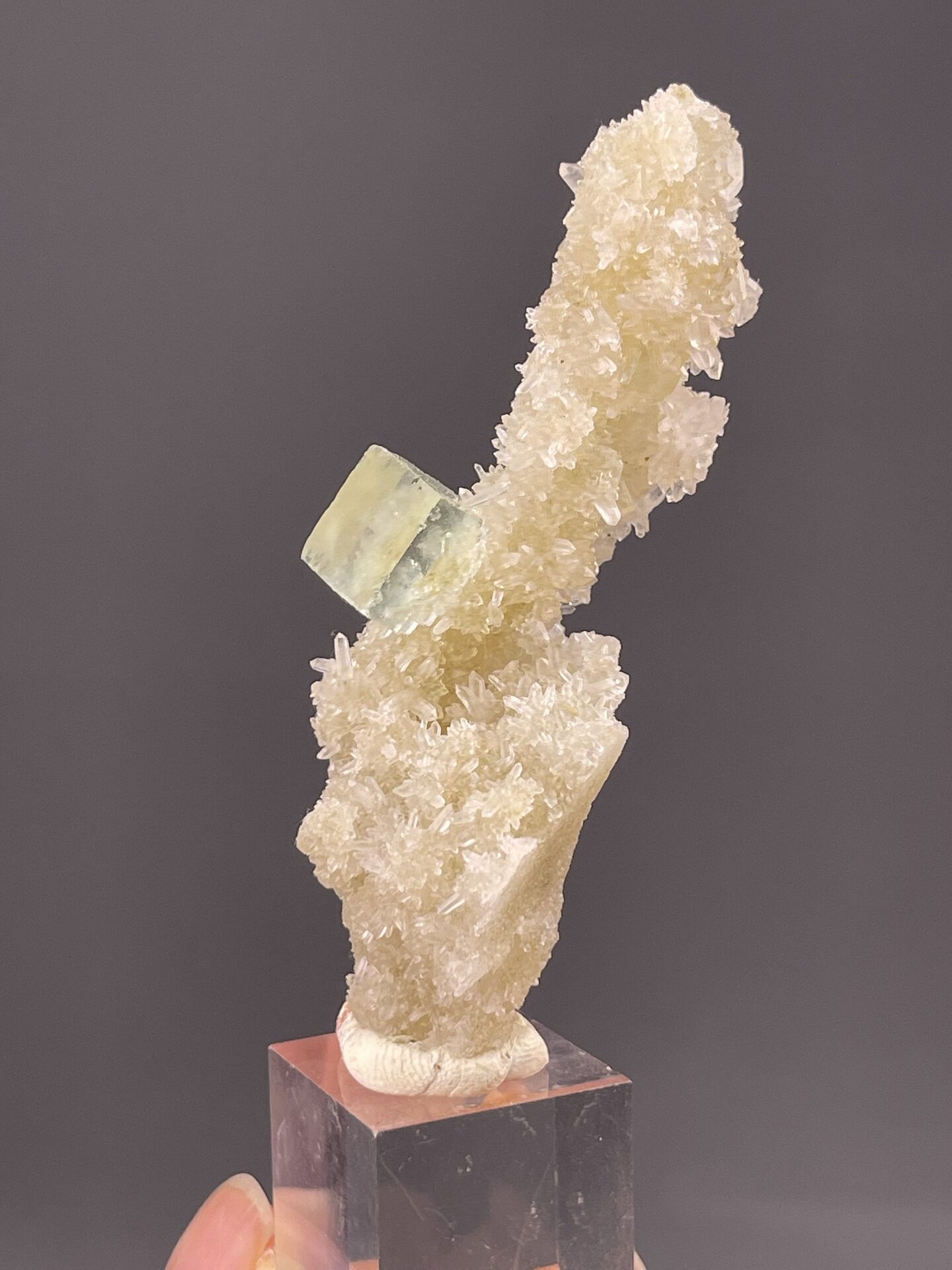 CaF₂ isometric fluorite on quartz matrix, Xianghualing Mine Hunan