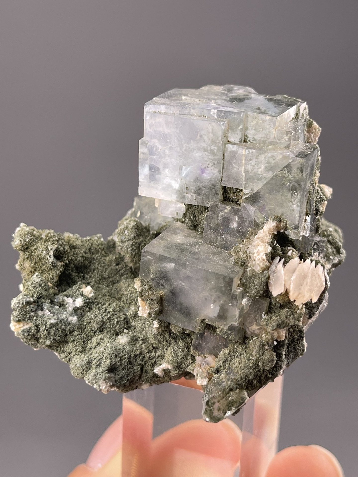 Side view of fluorite cube showing sharp cubic crystal geometry