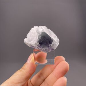 Fluorite Crystal - Translucent Light Purple - Glassy Luster and Dark Zoning - Fujian, China - Collector's Gem