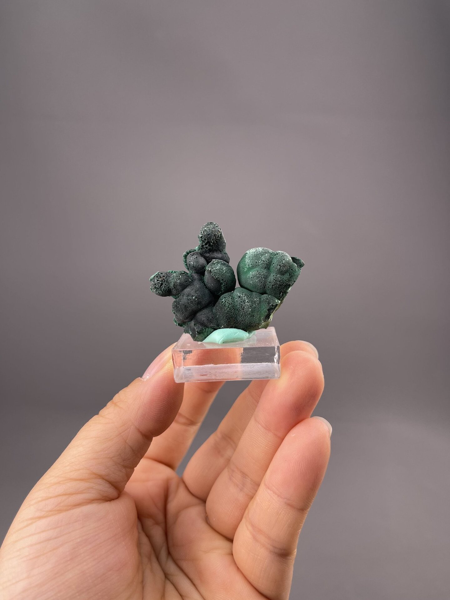Green malachite with botryoidal form, Democratic Republic of Congo