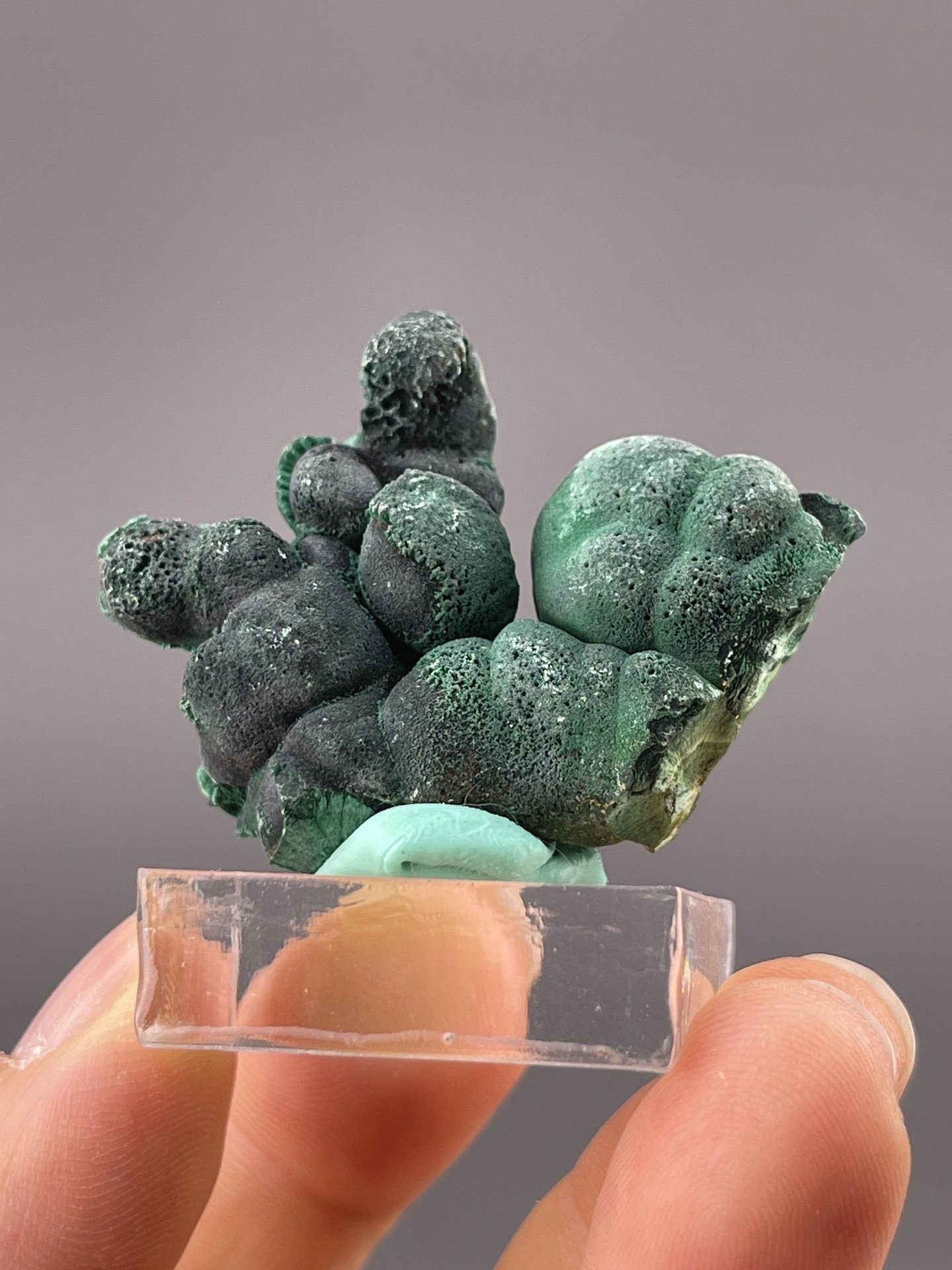 Top view of malachite showing botryoidal surface pattern