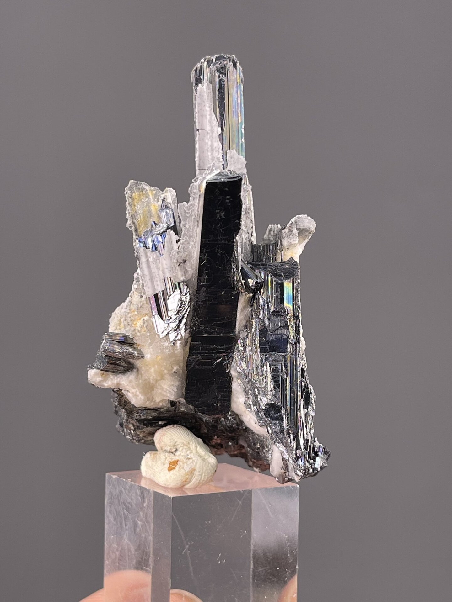 Columnar stibnite crystal from Lengshuijiang Mine Hunan, SKU 1127