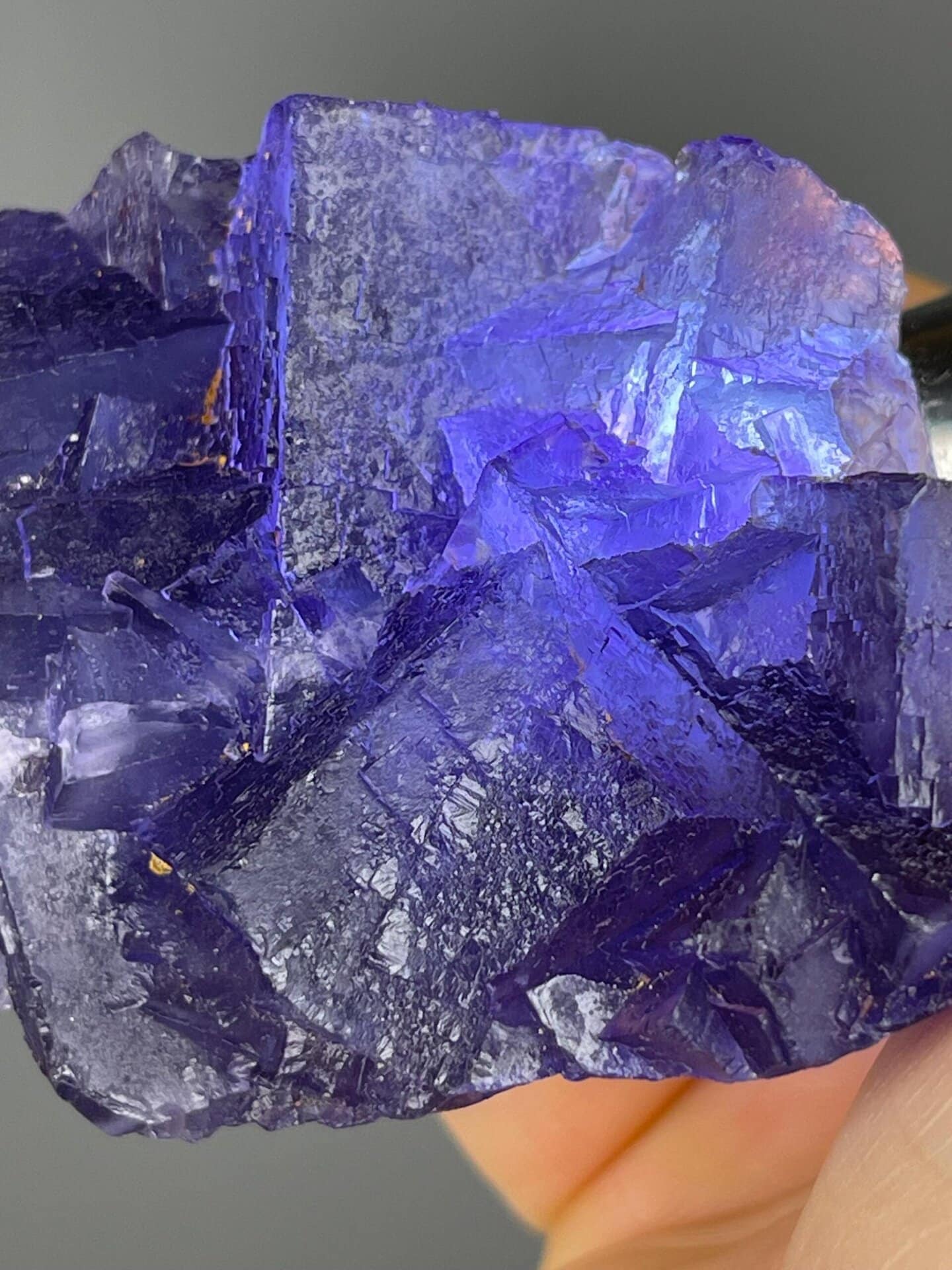Front view of transparent purple fluorite crystal matrix