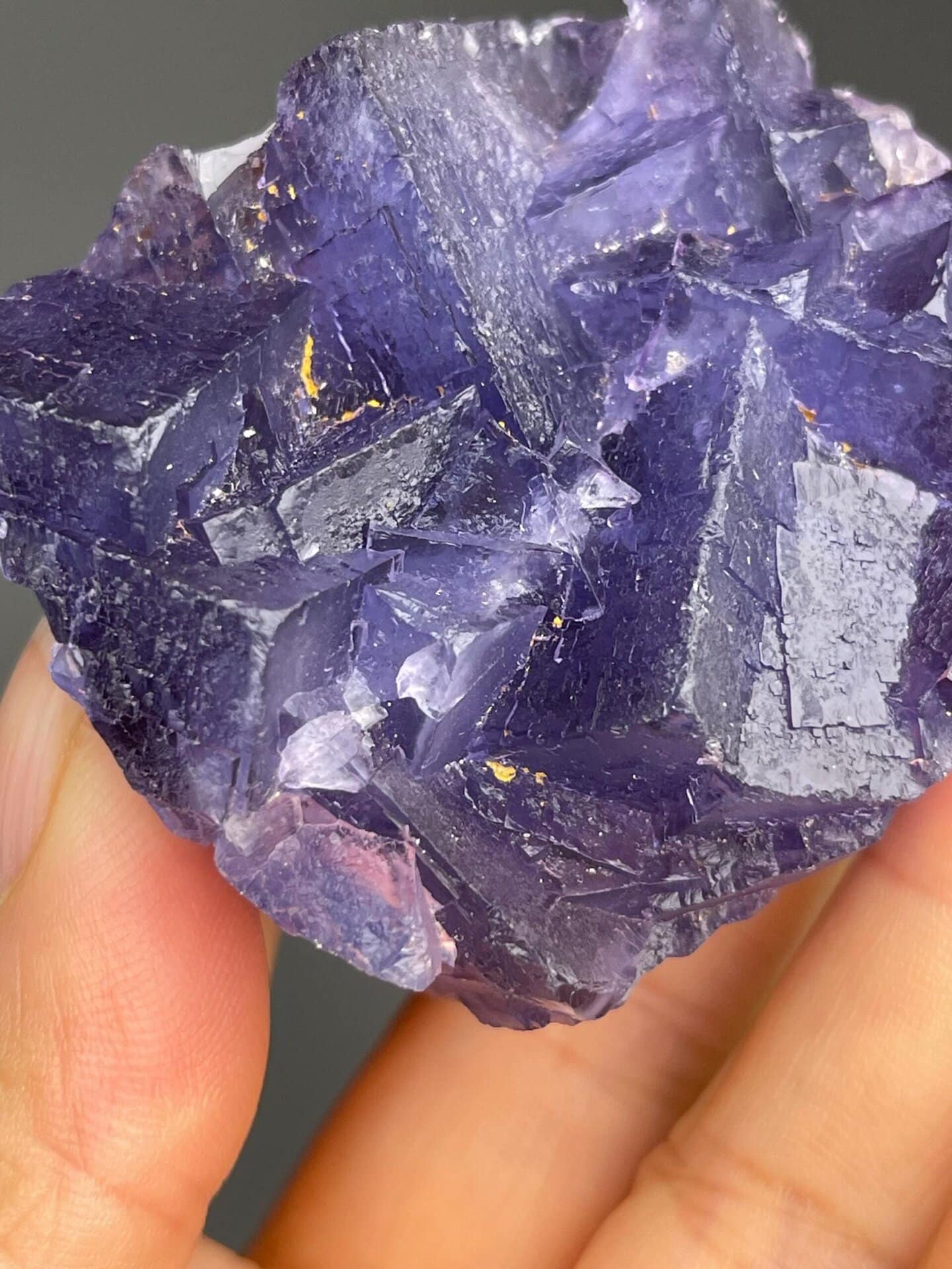 Scale reference photo of purple fluorite matrix specimen