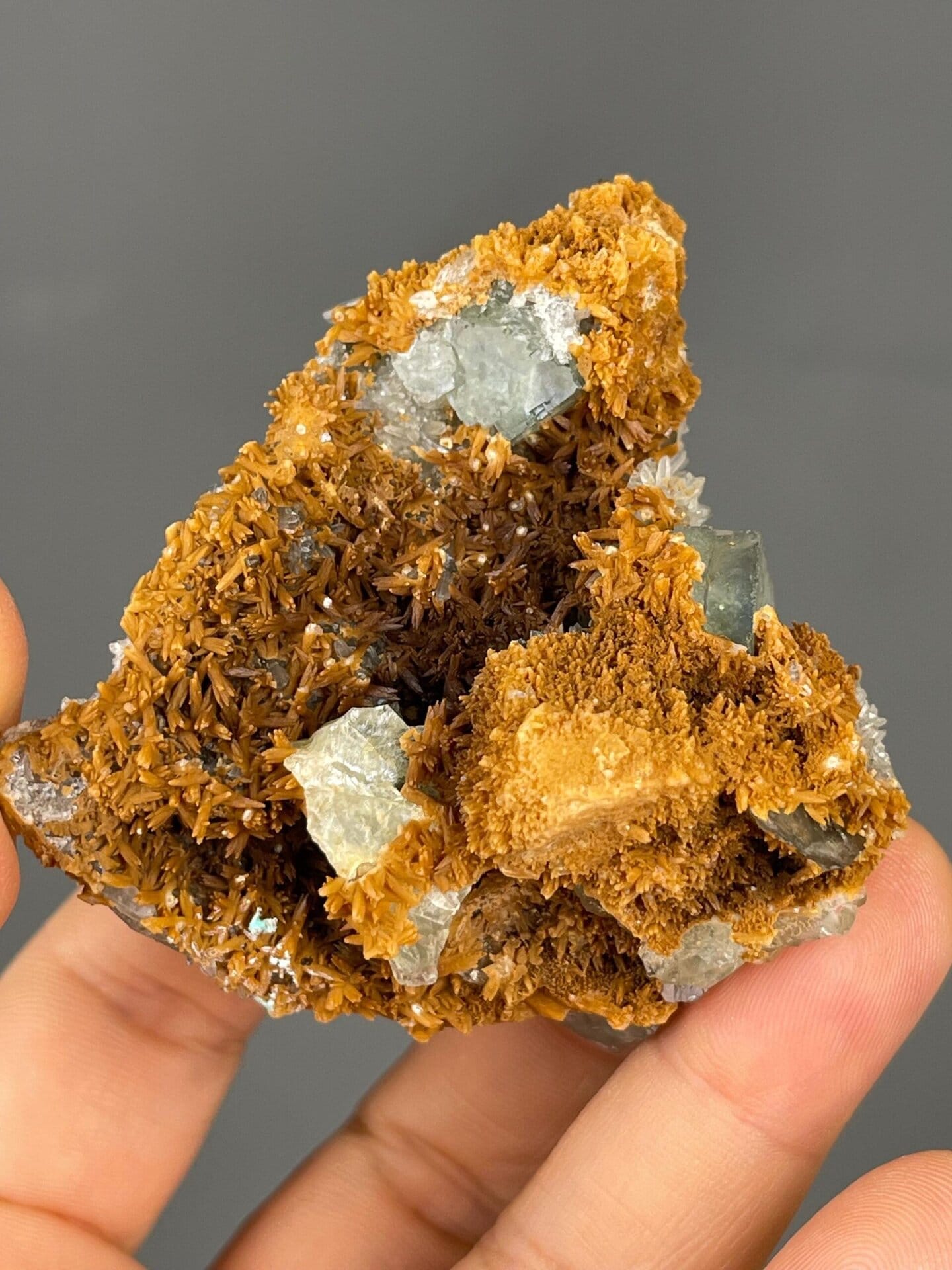 Top view of green fluorite cube on matrix