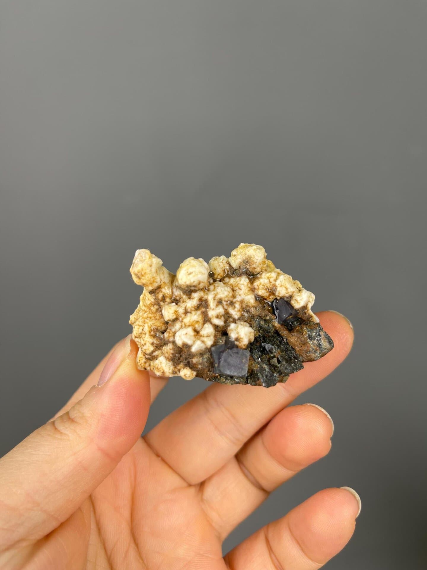 Front view of purple fluorite on white dolomite matrix