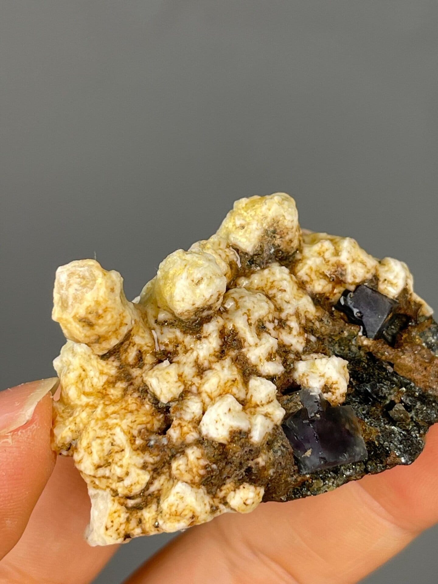 White botryoidal dolomite contrasting with purple fluorite