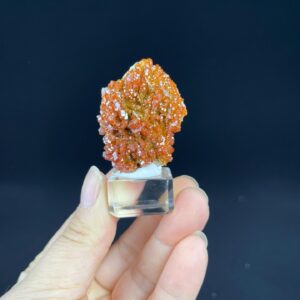 Lead-Zinc Crystal Cluster - Vibrant Red-Orange - Morocco - Collector's Specimen