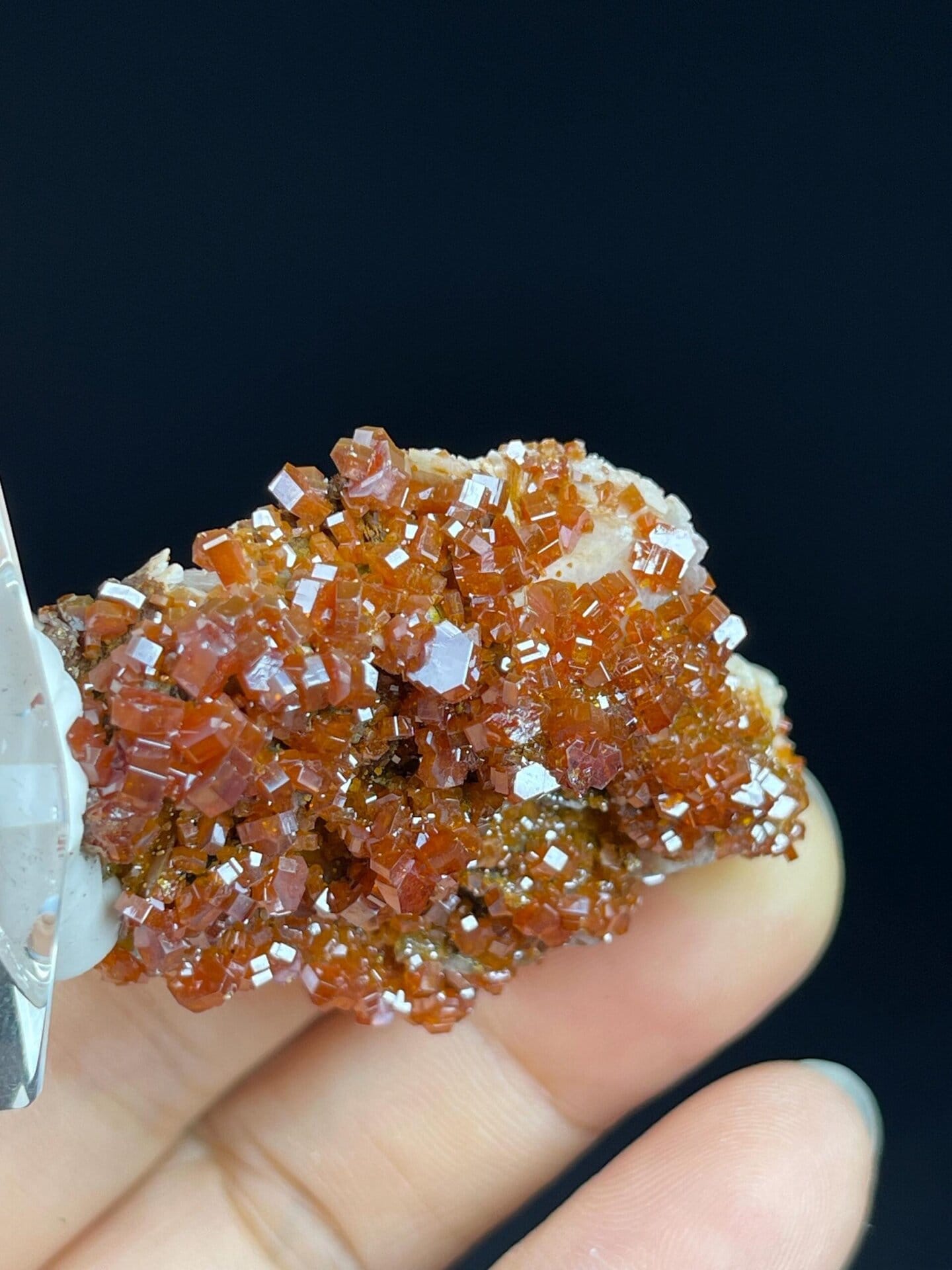Moroccan wulfenite mineral specimen full view