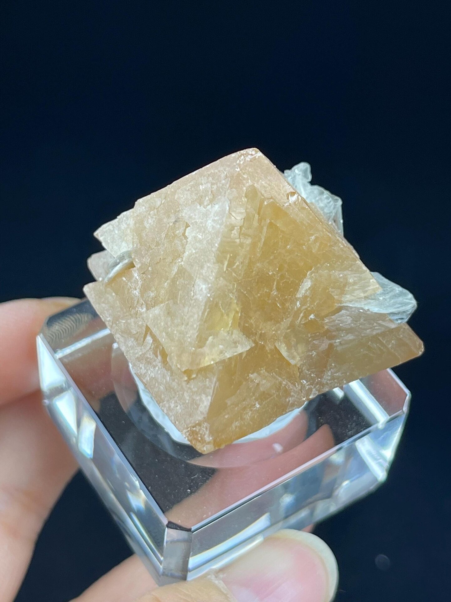 Back view of scheelite crystal with mica groundmass