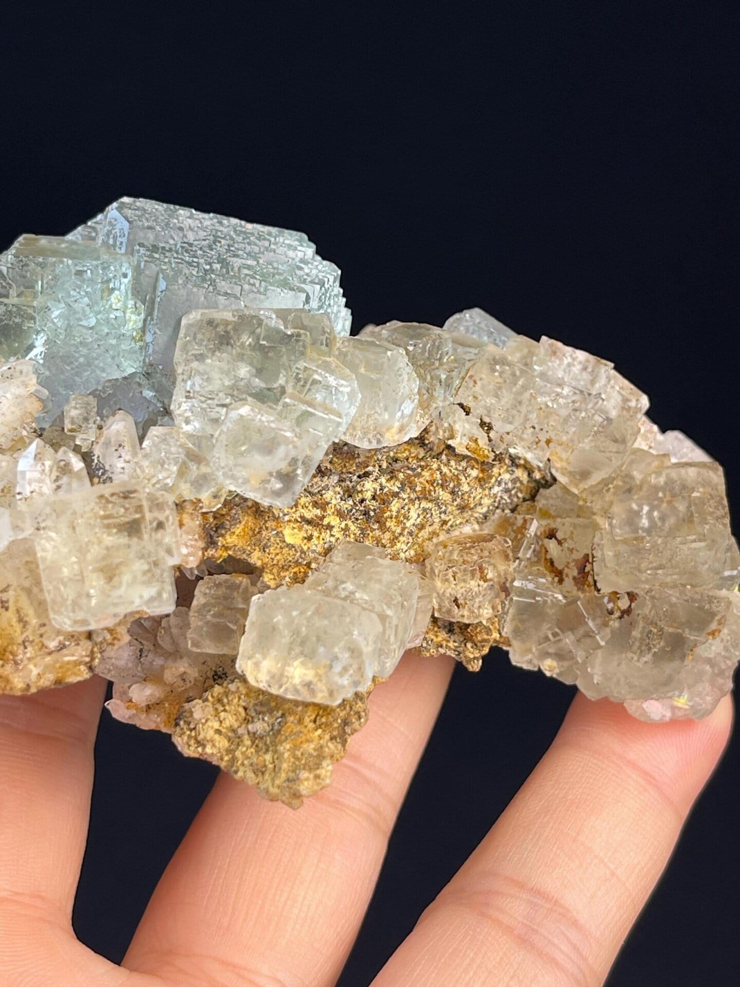 Scale reference of large step-cut purple fluorite specimen