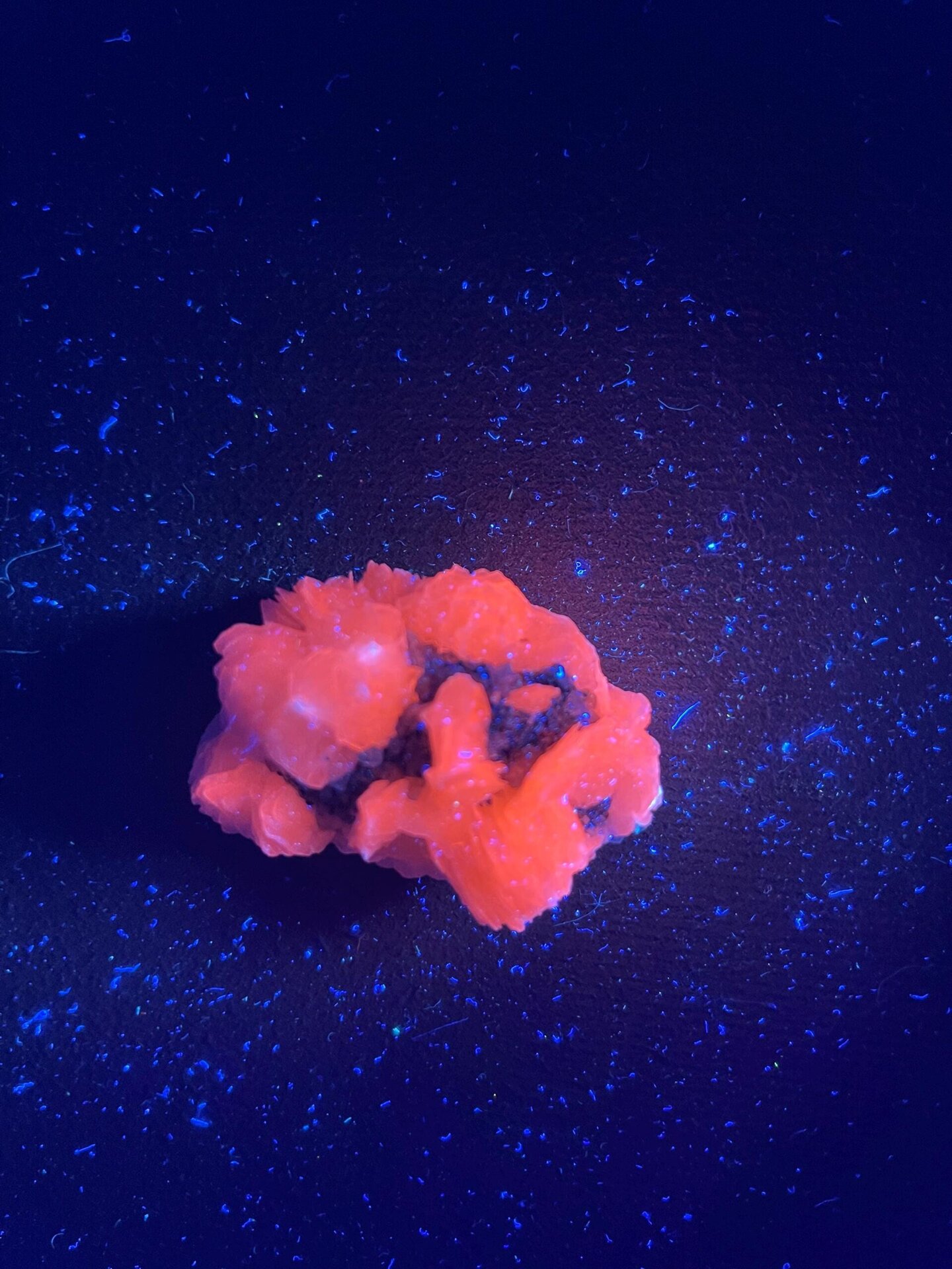 Scale reference of pink calcite flower formation