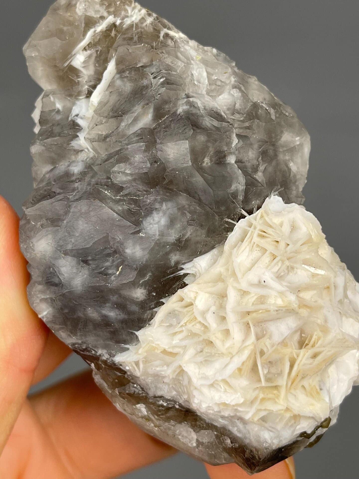 Fluorite and calcite color contrast in cluster specimen