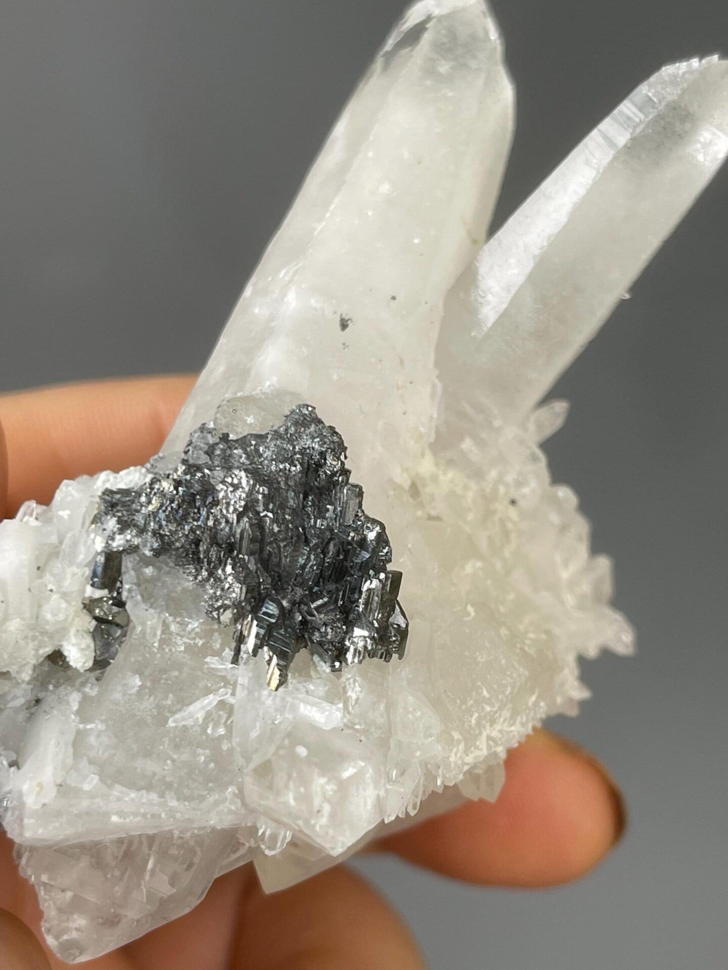 Metallic pyrite contrasting with clear quartz