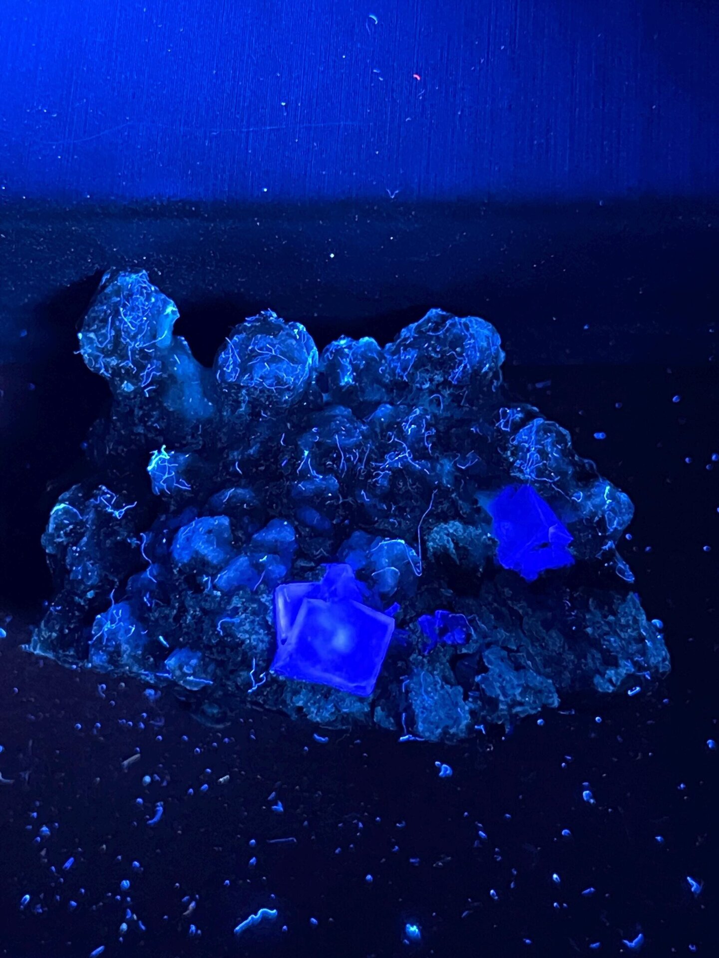 Scale reference of purple fluorite dolomite specimen