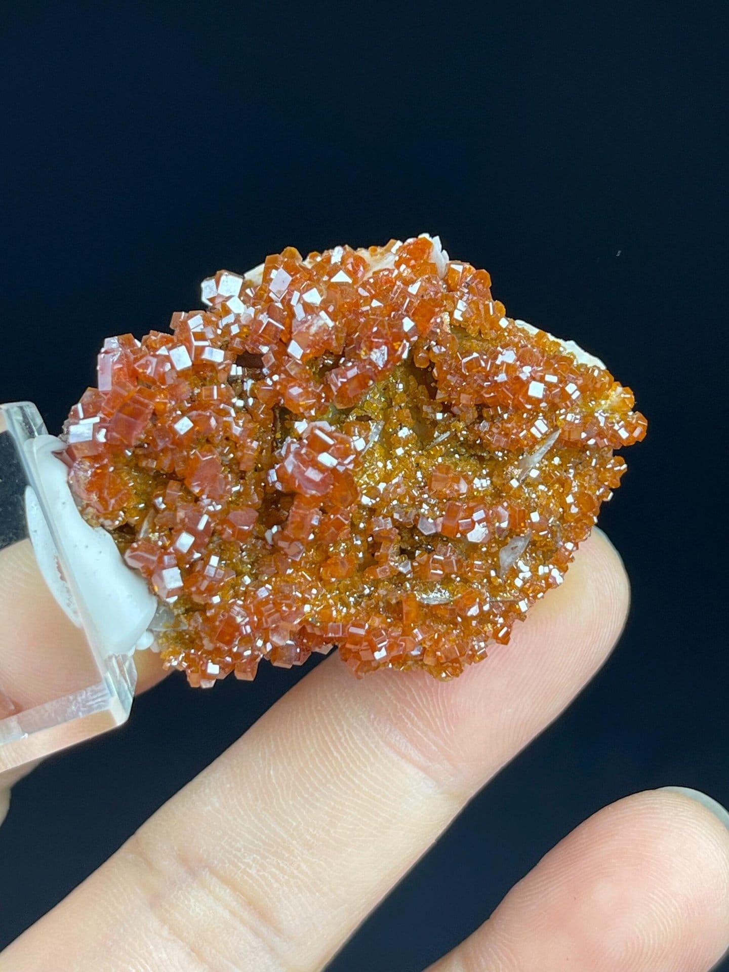 Scale reference of red-orange wulfenite cluster from Morocco
