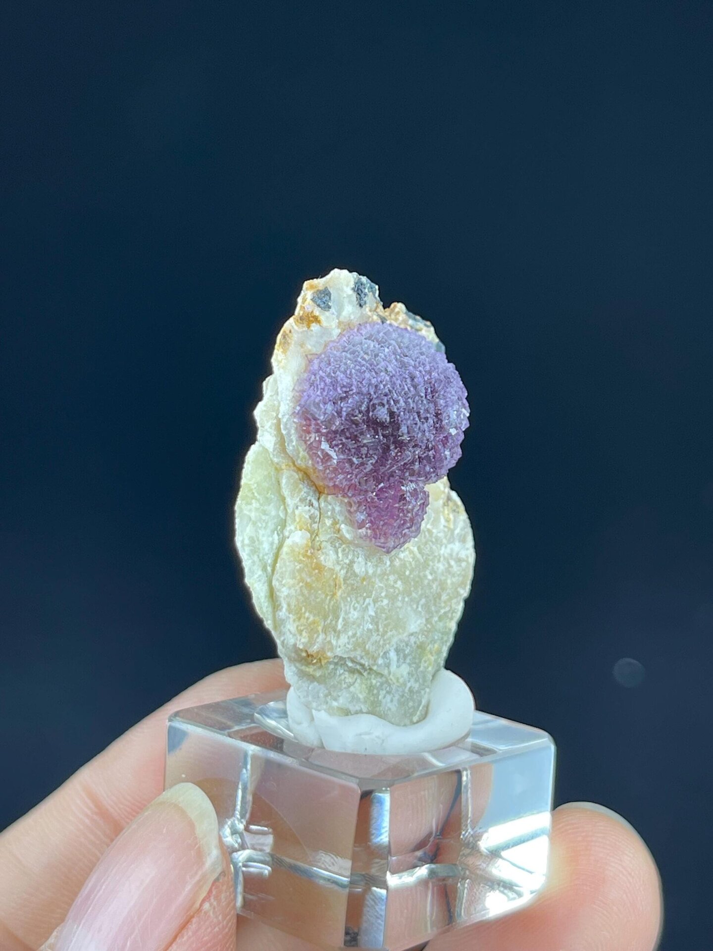 Side view of botryoidal purple fluorite cluster