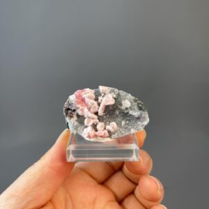 Exquisite Rhodochrosite Petal with Crystal Highlights - Unique Pink Gemstone - Ideal for Collectors